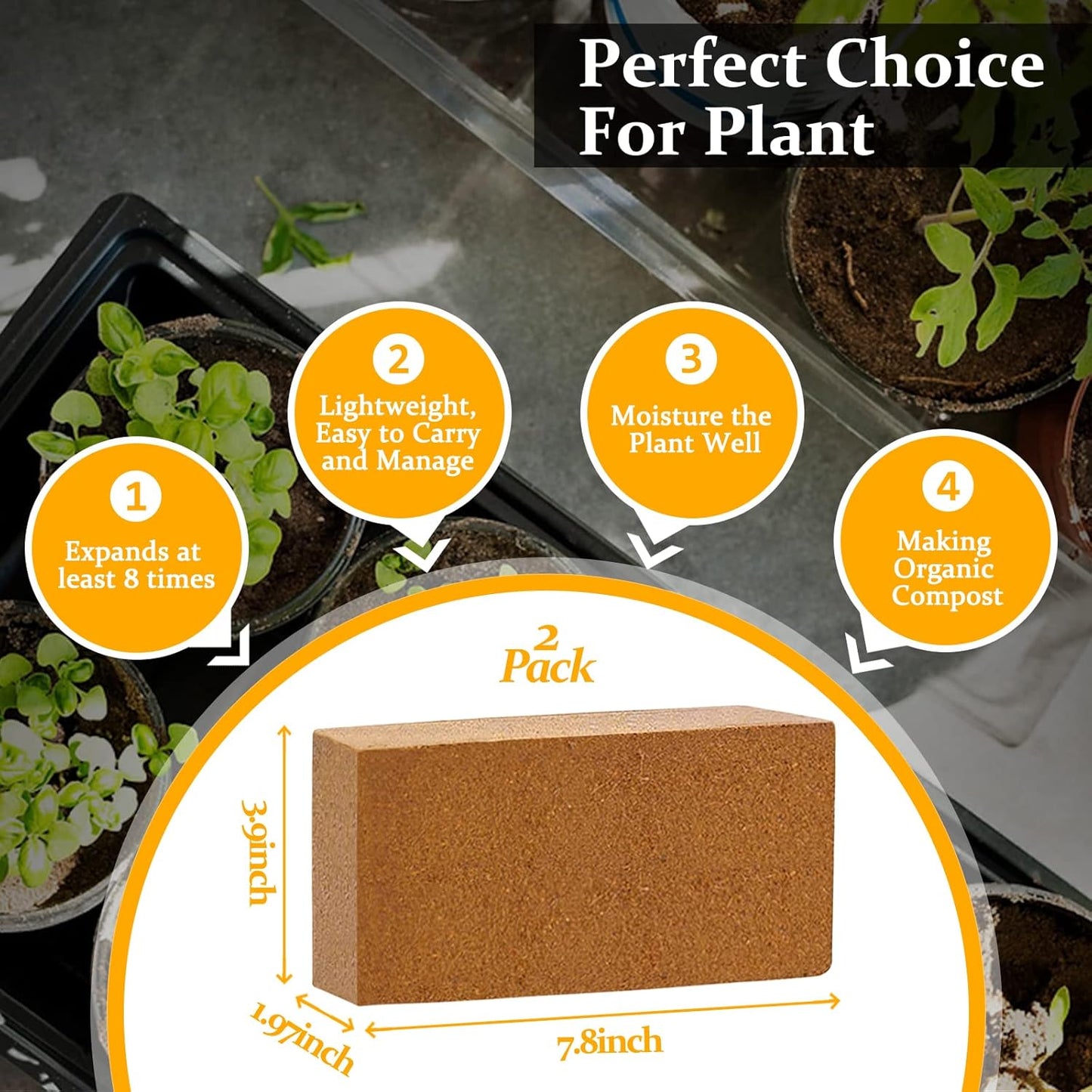 Riare 2pcs Organic Coco Coir Bricks Soil Blocks- 100% Natural Compressed Coco Peat Brick Coconut Fiber Substrate with Low EC& pH Balance, High Expansion Coco Coir Pith Coconut Husk for Garden