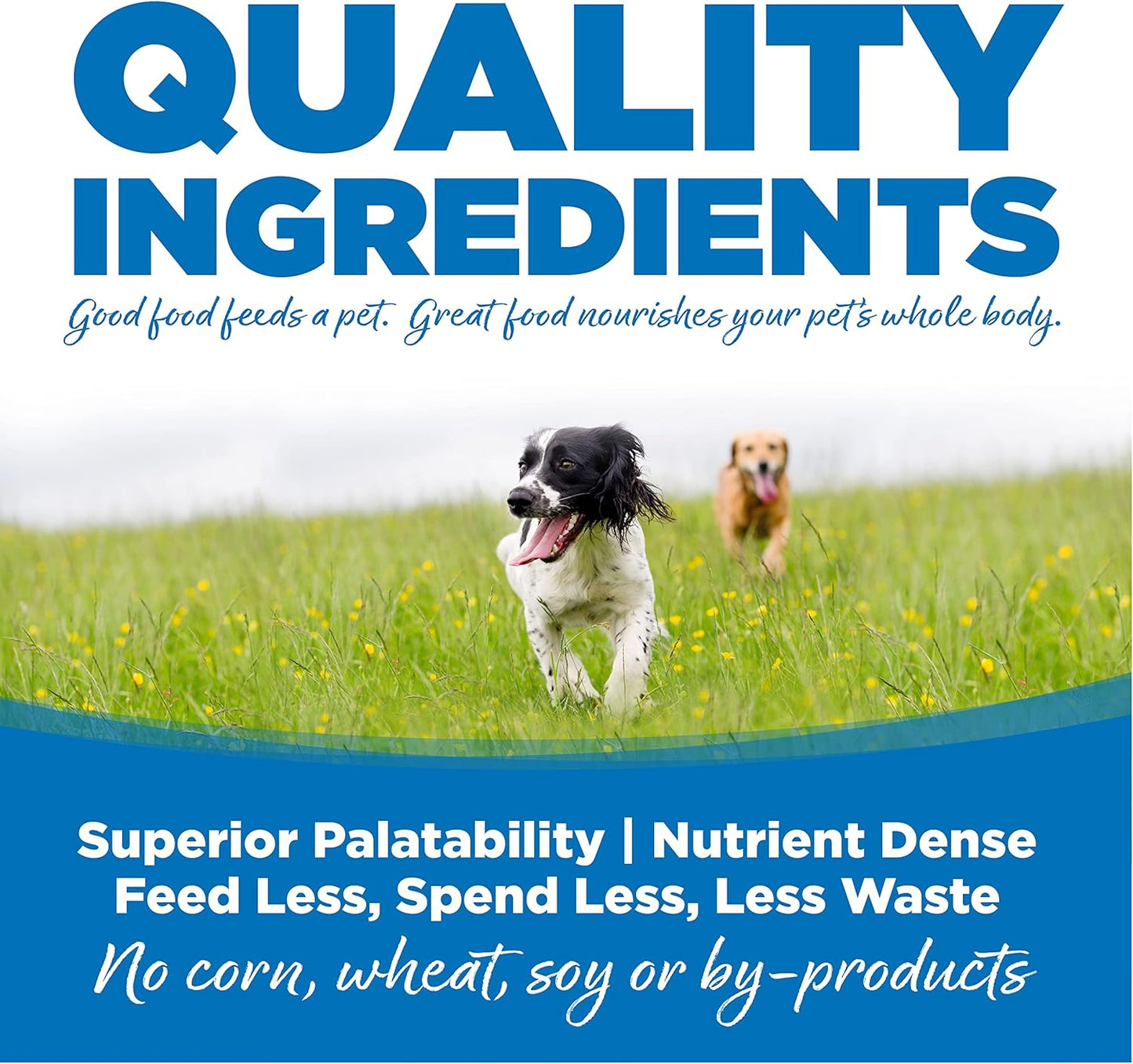 NutriSource Adult Dog Food, Made with Chicken and Rice, Large Breed, with Wholesome Grains, 30LB, Dry Dog Food