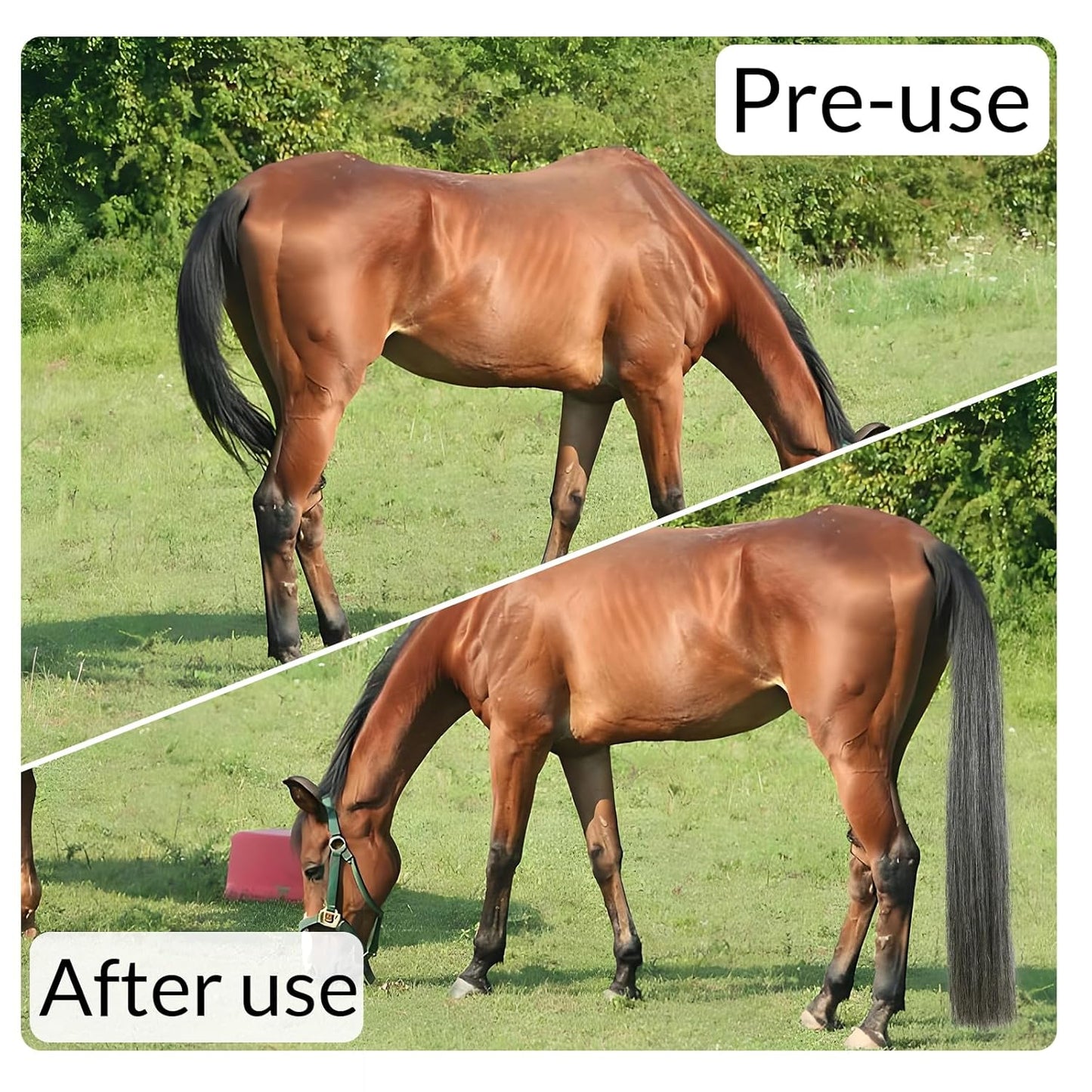 Horse Tail Extension with Braided Horsehair Loop, Blunt Cut Bottom, 3/8 lb, 28-30 inches (dark gray)