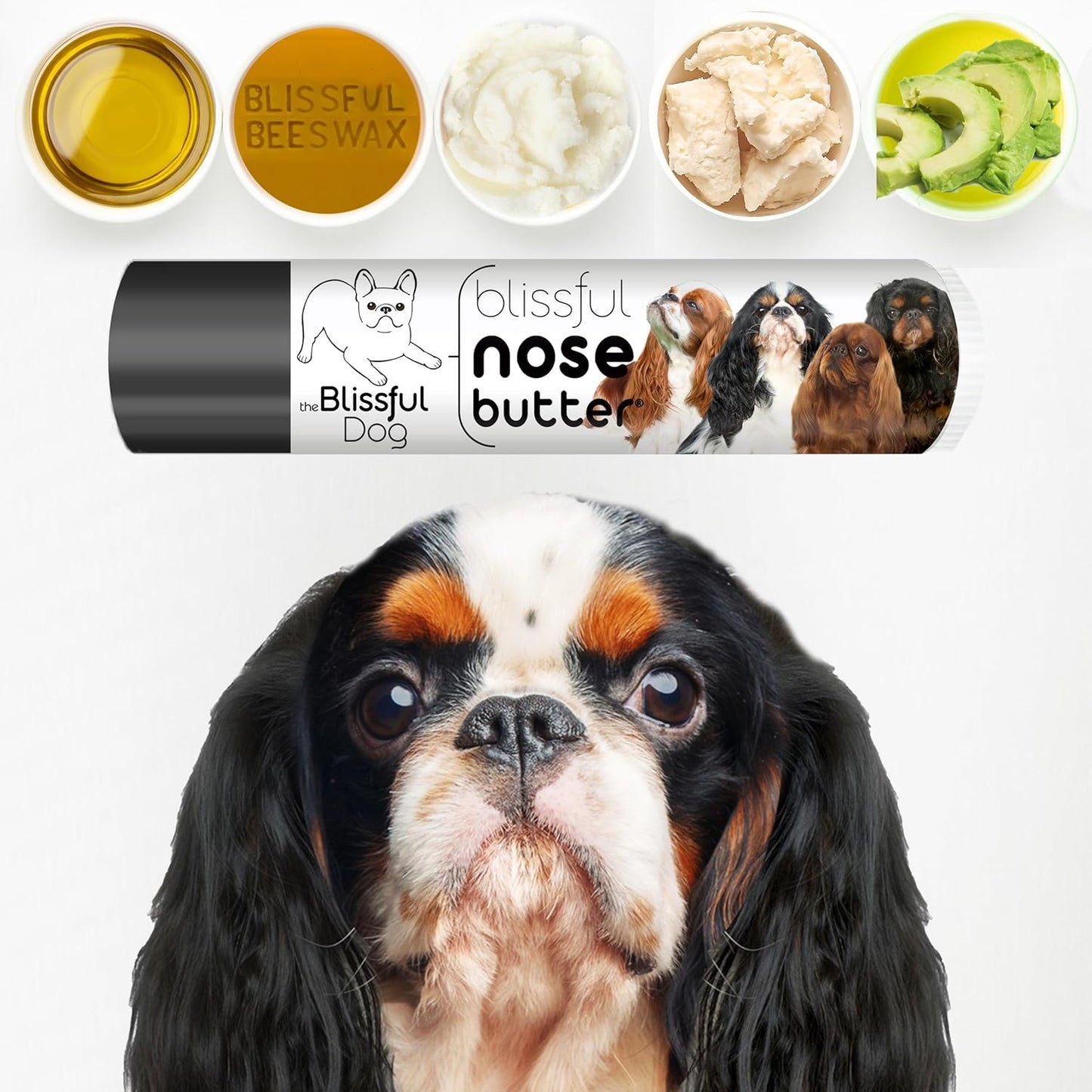 The Blissful Dog English Toy Spaniel Unscented Nose Butter