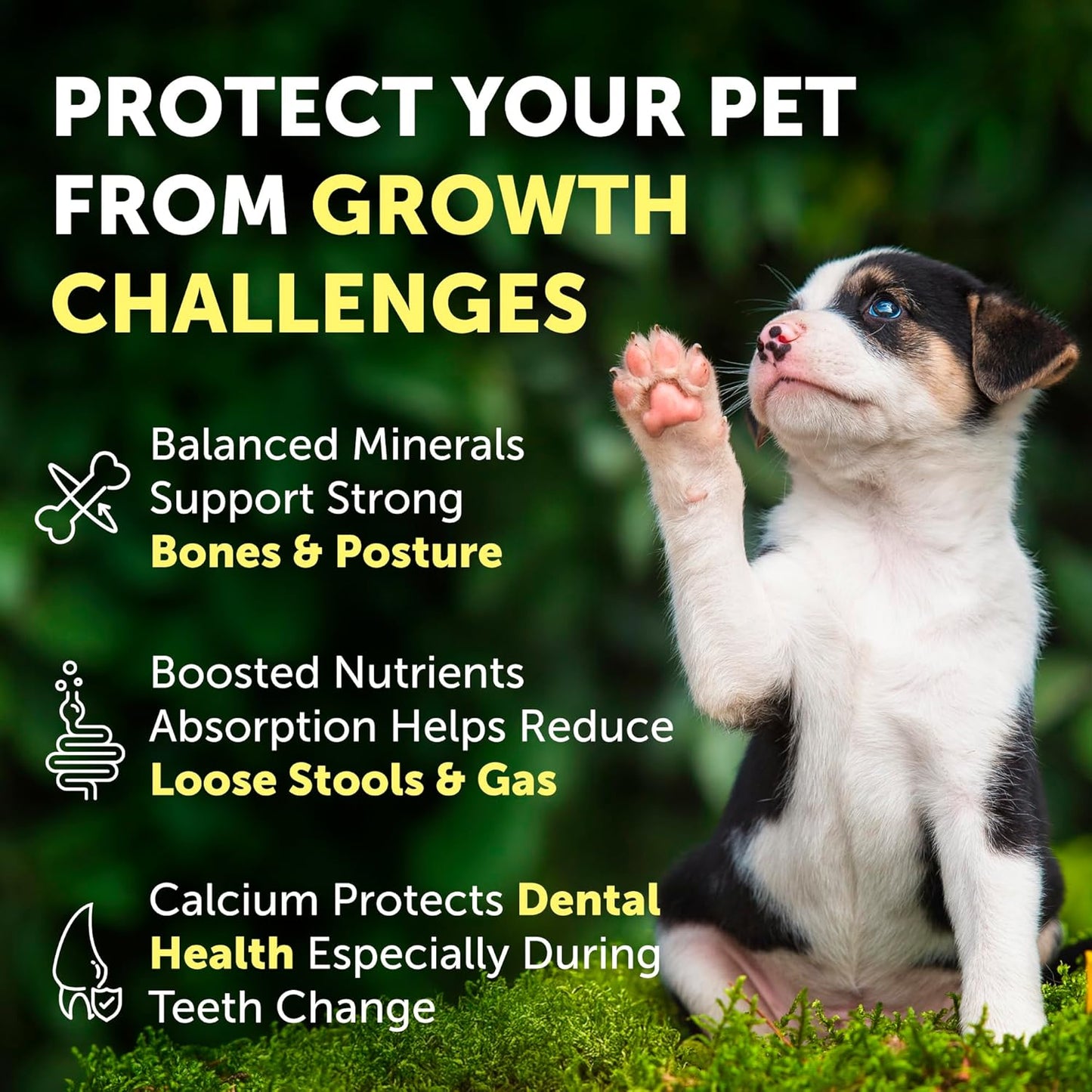 Nature's Protection Hip Joint Supplement for Dogs - Puppy Healthy Growth Mineral Supplements with Calcium for Development Support, Bone & Teeth Strength, Gut Health for Dogs & Cats of All Breeds, 9 Oz