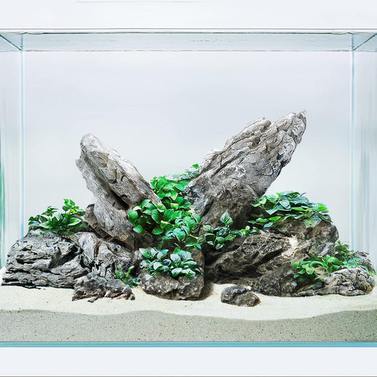 LANDEN Seiryu Stones Natural Rocks for Aquarium, Paludarium, Terrariums, Landscaping Rocks, Aquascaping, 80L (36lbs) 3-11in, Seiryu Stones(3-11inch,36lbs)