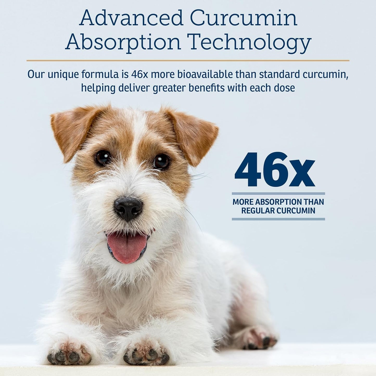 Rx Vitamins CurcuWIN - Curcumin for Dogs & Cats - Vitamins and Supplements, Allergy Relief - Provides Immune Support & Aids Digestive Support - Joint Supplement - 90ct