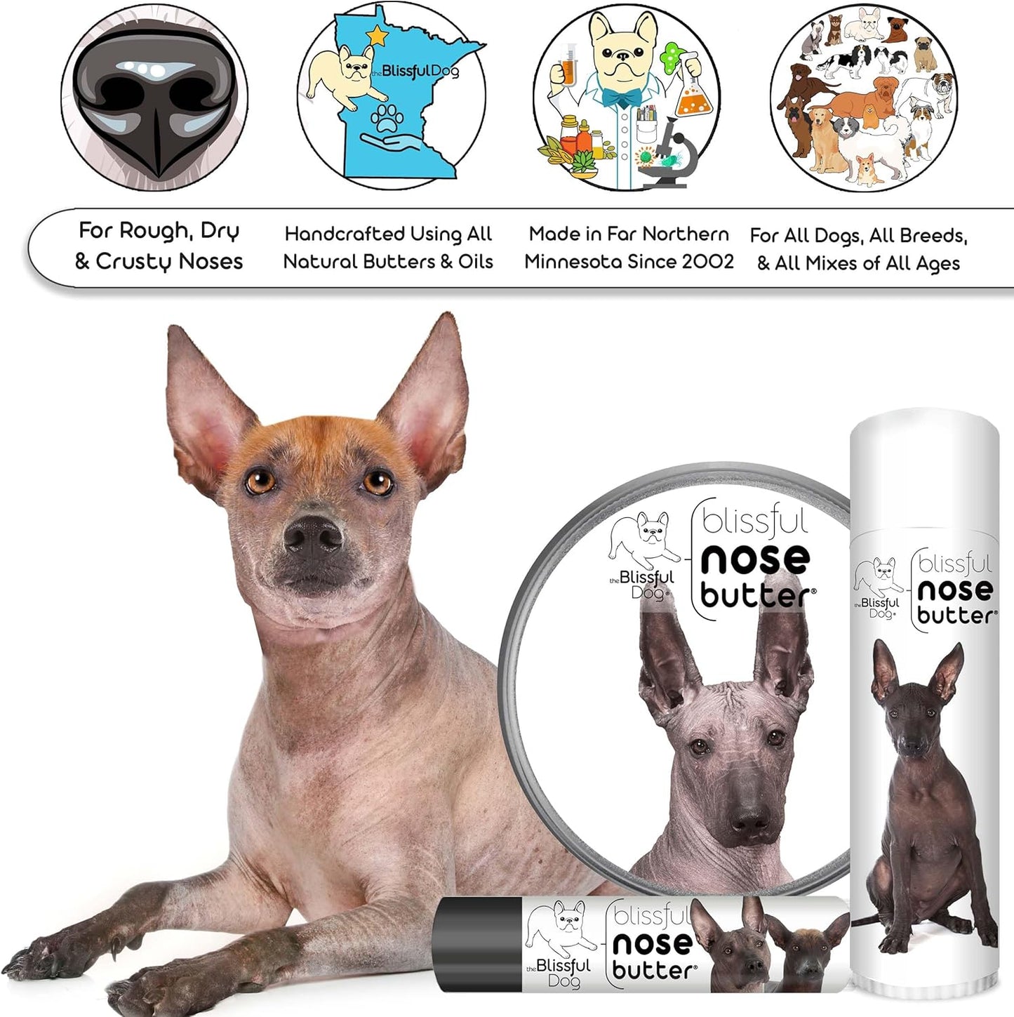 The Blissful Dog Xoloitzcuintli Nose Butter for Dry, Cracked Skin, Lick-Safe Dog Nose Balm with Moisturizing Shea Butter, Almond, Olive, and Essential Oils, Pet Supplies, Uncented, 1 oz.