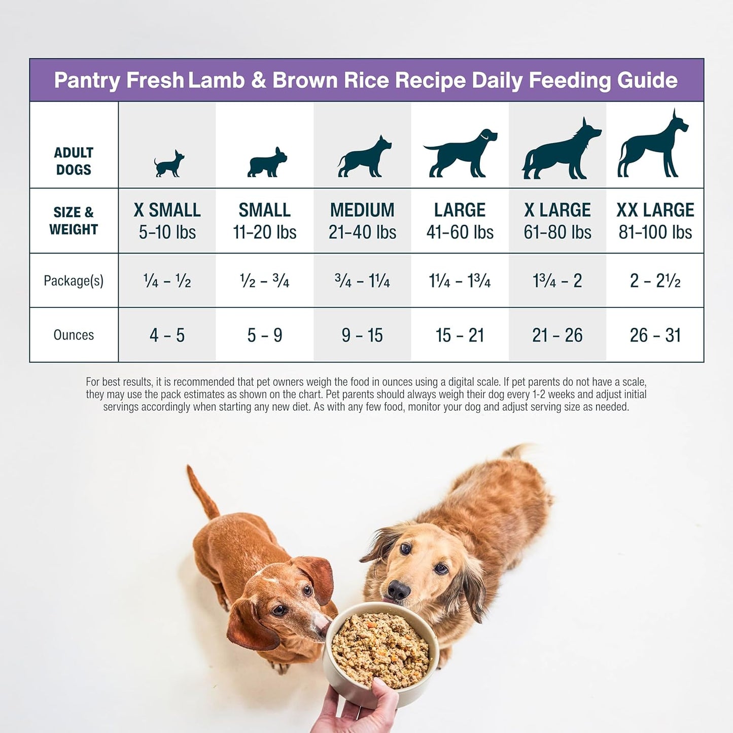 JustFoodForDogs Pantry Fresh Wet Dog Food, Complete Meal or Dog Food Topper, Lamb & Brown Rice Human Grade Dog Food Recipe - 12.5 oz (Pack of 6)