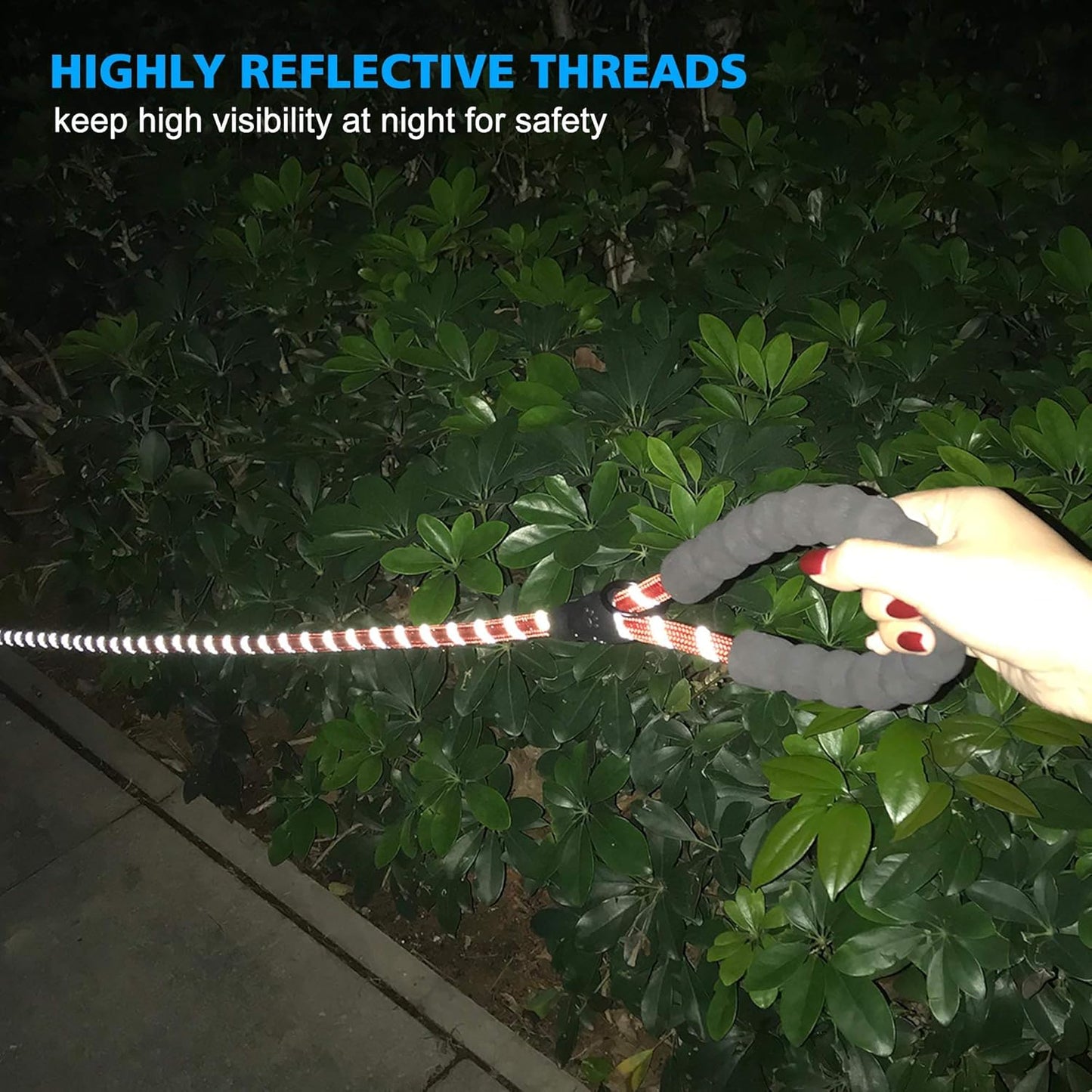 Heavy Duty Dog Leash - Comfortable Padded Handle, 5 ft Long - Dog Leashes for Small Medium Large Dogs (Leash+Collar S Neck 13.5"-16", Red)