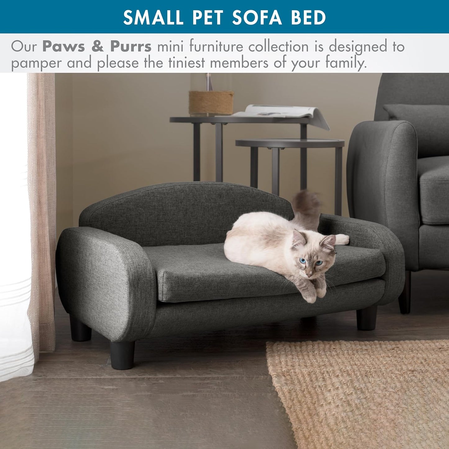 Paws & Purrs Cat Sofa Bed, Pet Couch for Indoor Cats Elevated Cat Beds with Removable Washable Mattress Cover for Kitten, Puppy or Small Animal- 31.5" Wide, Gray
