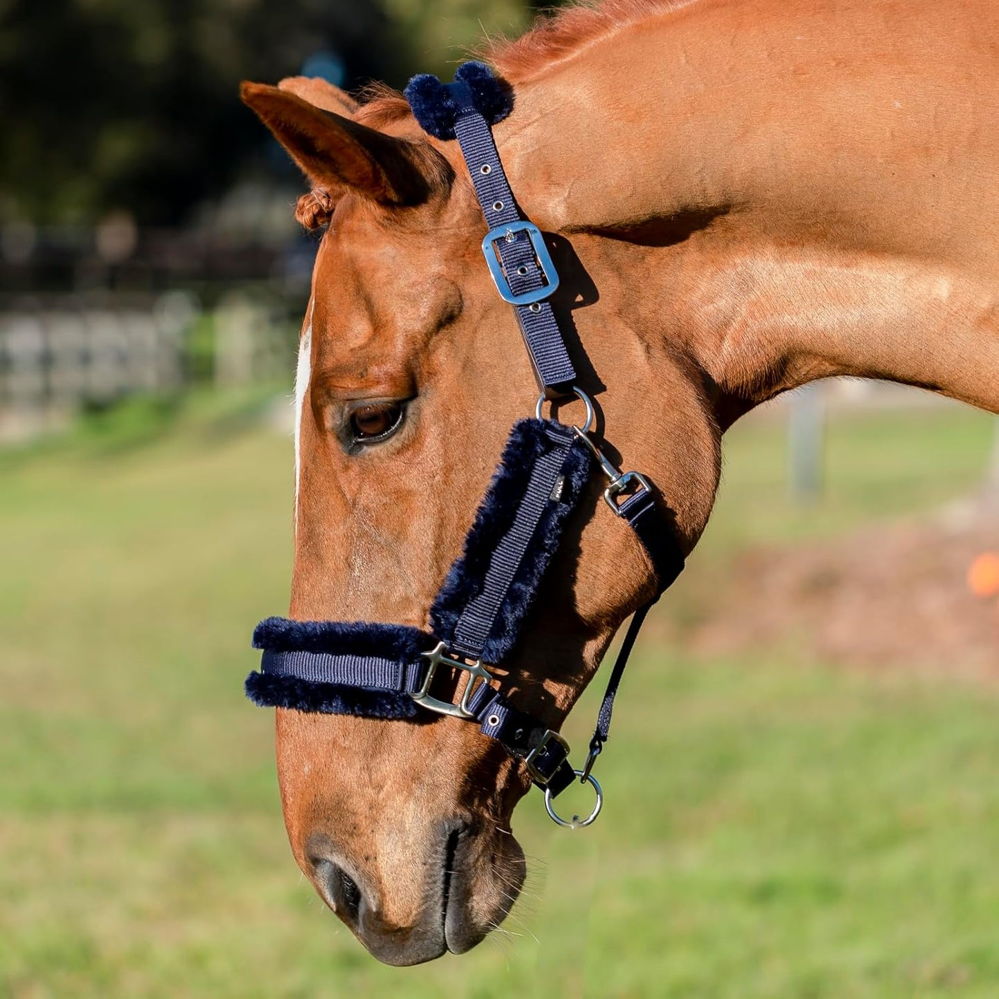 Equinavia Valkyrie Soft Ultra Fleece Padded Adjustable Breakaway Horse Halter - Navy/Navy - Warmblood