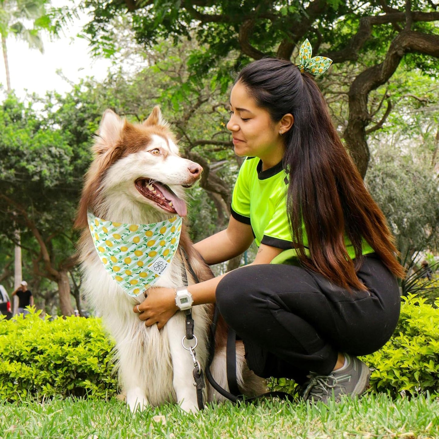 E-Clover Summer Lemon Dog Bandanas & Matching Scrunchie Set Green Stripe Dog Scarf Bibs Pet Bandana with Bow Tie for Medium Large Dogs Owner Mom