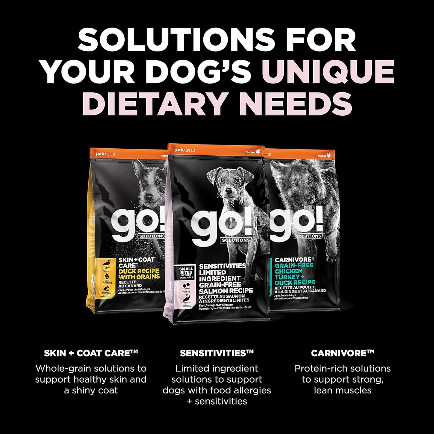 Go! Solutions Sensitivities Limited Ingredients, Grain-Free Dry Dog Food, Small Bites Salmon Recipe for Sensitive Stomach, 6 lb Bag