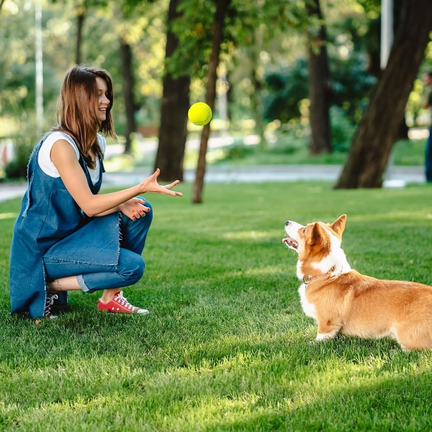 Prime Pets Tennis Balls for Dogs, Non-Squeak, 12 Pack, Thick Bouncy Dog Balls, Dog Toy Balls for Indoor Outdoor Play, Fetch Toys for Medium, Large Dogs