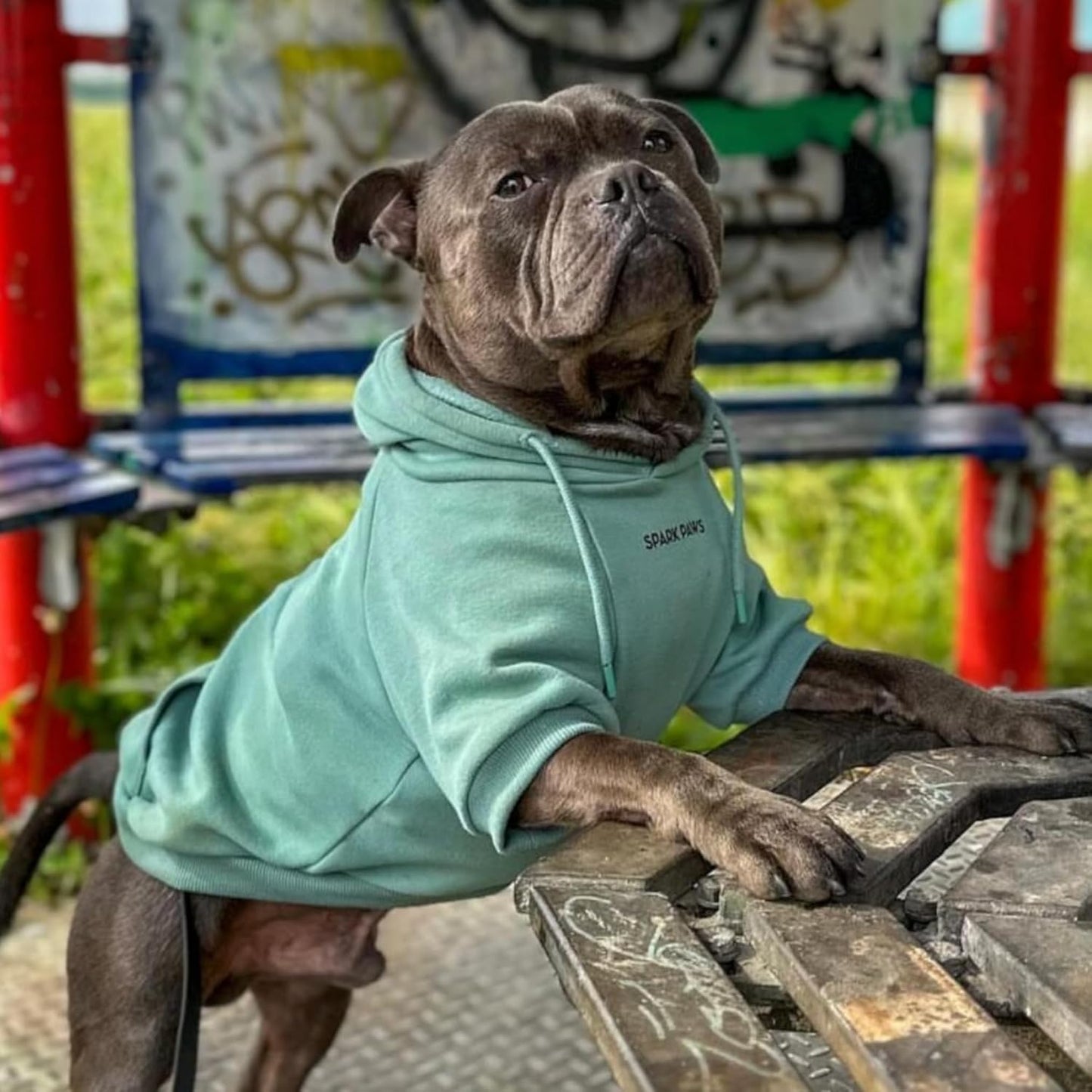 Spark Paws Dog Hoodie – Premium Dog Sweater for Small, Medium, and Large Dogs | Warm Outfits for French Bulldogs, Pitbull, Puppy, Winter Jacket Alternative - Teal - 4XL
