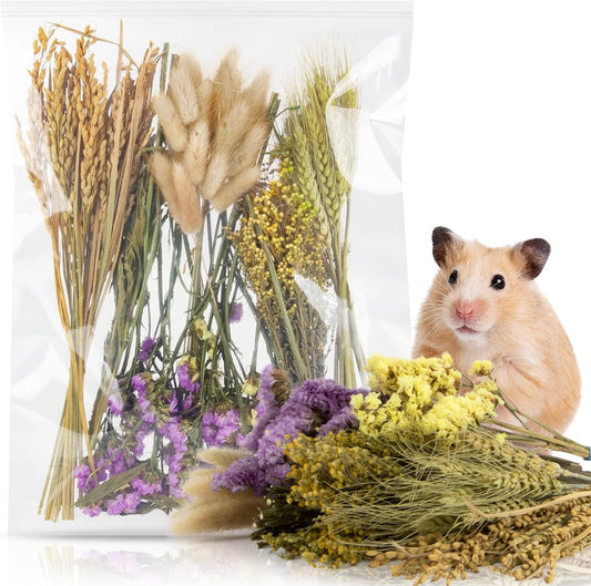 Sukh 60Pcs Nature Flower Herb Hamster Bedding - Cage Enclosure Habitat Decor Mate Small Animal Natural Ear of Grain Sprays for Syrian Dwarf Hamsters Gerbils Rabbit Other Pets