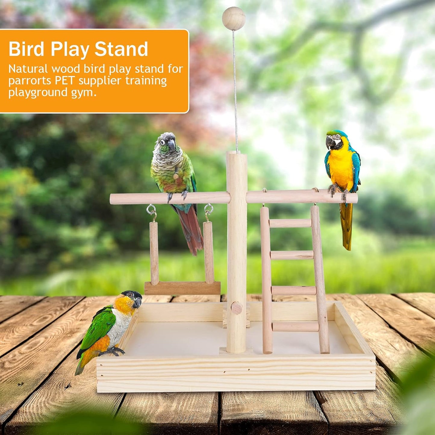 Budgie Perch Nature Wood Stand, Parrot Climbing Ladder Swing Chew Toy, Small Tabletop Bird Cage Play Gyms Playground for Parrots, Macaws, Love Birds, Finches, African Grey, Budgies