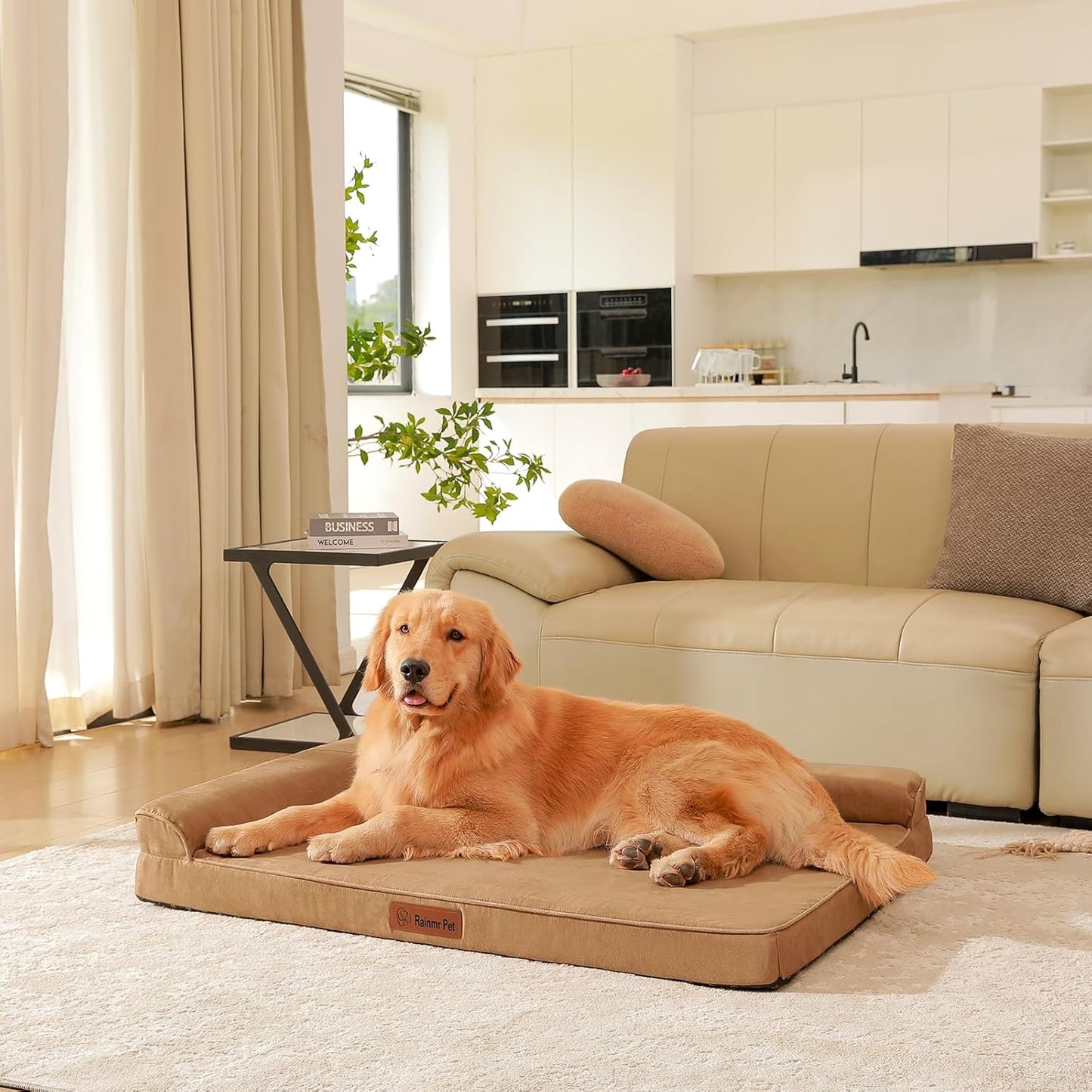 Upgraded Large Dog Bed, 3" Memory Foam with Waterproof Liner, Chew Resistant Microsuede Cover, Removable and Washable, for Indoor, Outdoor, and Car Use, Nonskid Base, 44x32 Inches XXL Khaki