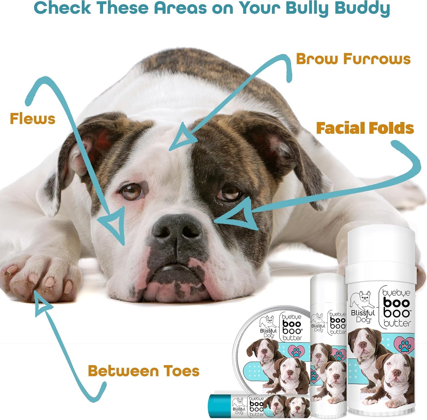 The Blissful Dog 1 oz TIN American Bulldog Booboo Butter