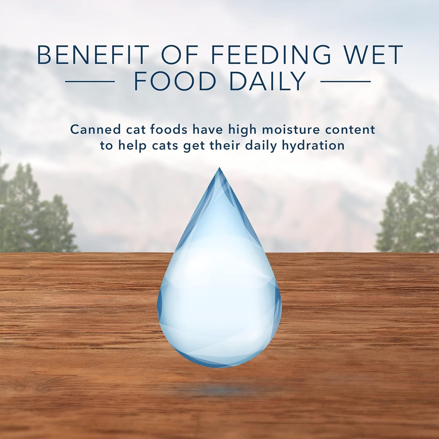 Blue Buffalo Wilderness High Protein, Natural Adult Pate Wet Cat Food Variety Pack, Chicken, Salmon, Duck 3-oz cans (24 Count- 8 of Each Flavor)