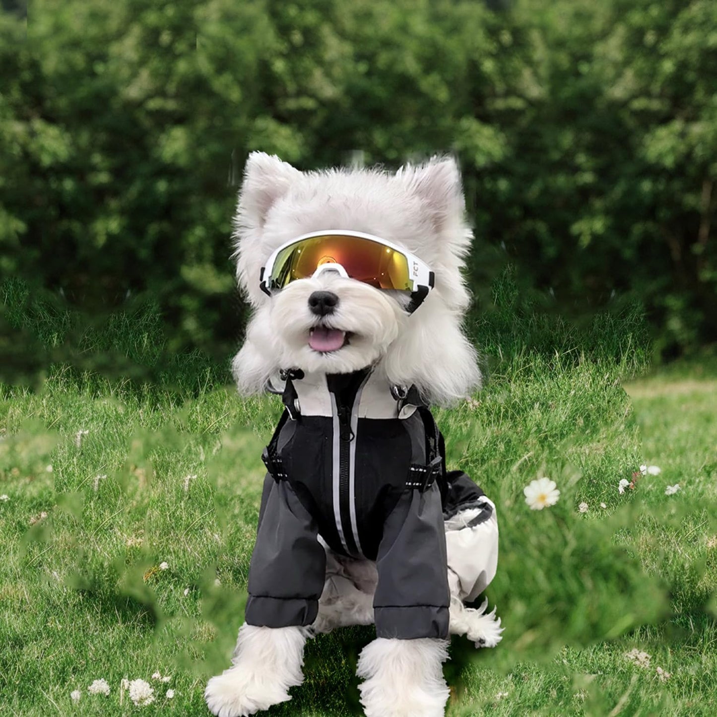 Dog Goggles for Small to Medium Breed, Dog Sunglasses UV Protection, Windproof & Anti-Fog, Puppy Sunglasses with Padded Frame and Adjustable Straps for Outdoor Riding, Driving（White）