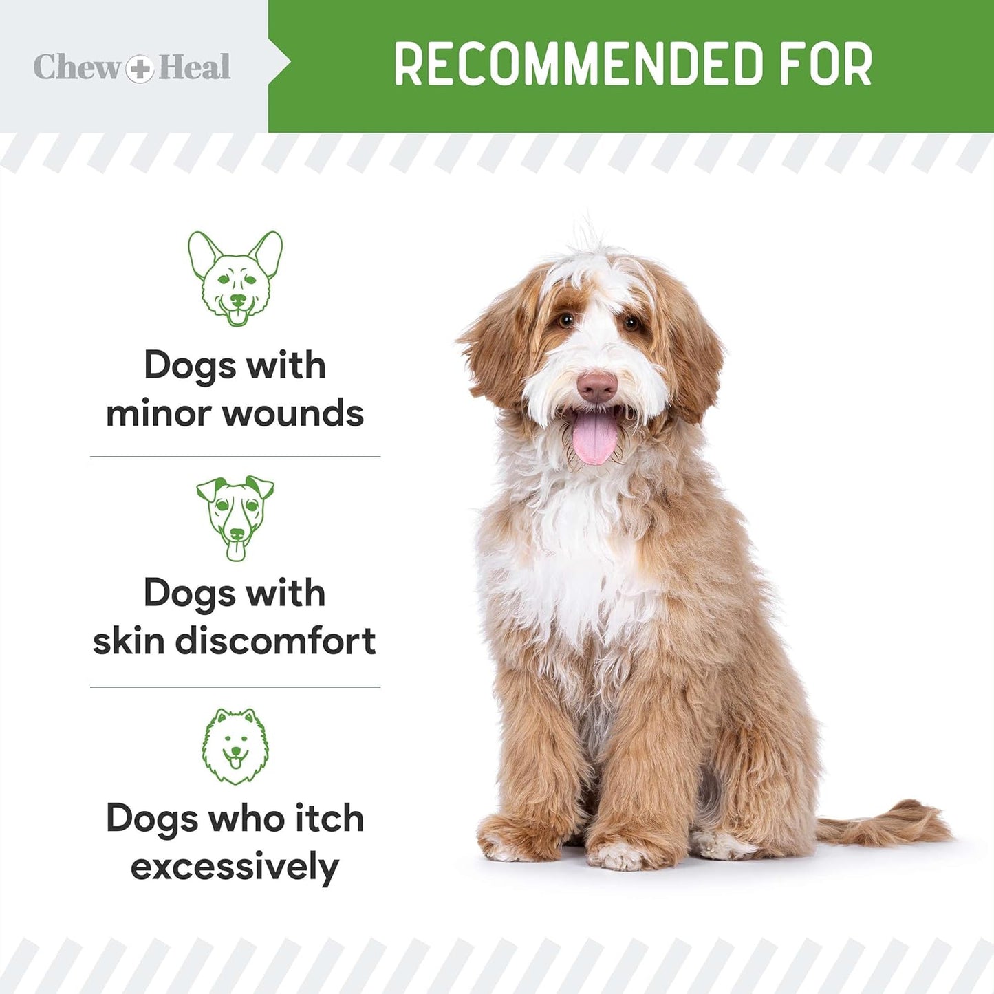 Hypochlorous Acid Spray for Dogs – 8oz Dog Wound Spray for Cuts, Burns, Sores, Abrasions, and More – Non Toxic and Chemical Free HOCI Wound Care – Made in The USA