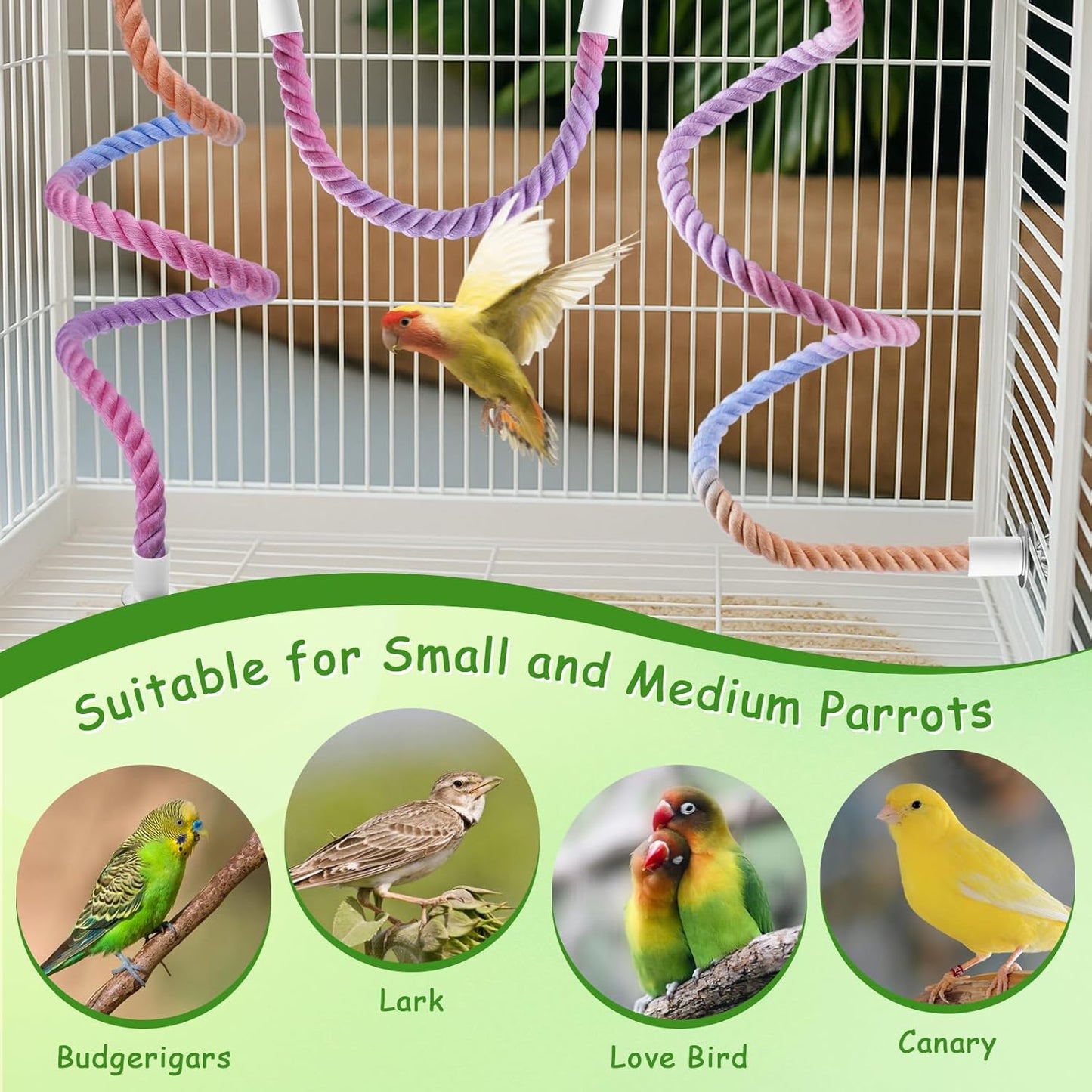3 Pcs Bird Rope Perches Gradient Color, Bendable Parrot Bird Perch Rope Stand for Cage, Stand Climbing Stand Toy for Cockatiels, Lovebirds, Budgies, Parakeets (2 Long + 1 Short)