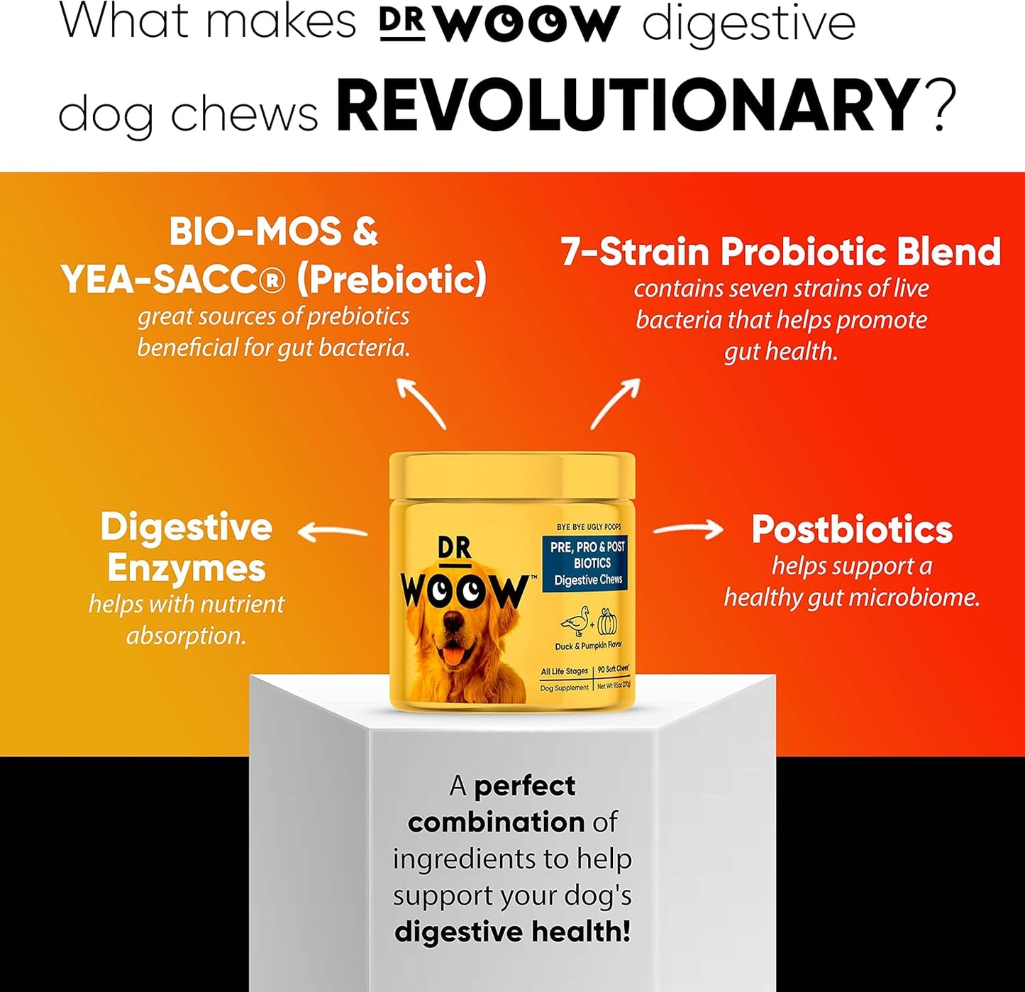 Probiotics for Dogs, Pet Dog Probiotics and Digestive Enzymes, Duck & Pumpkin Flavor Dog Probiotic Supplements, Dog Vitamins Dog Probiotic Chews and Prebiotics for Dogs, Dog Gas Relief