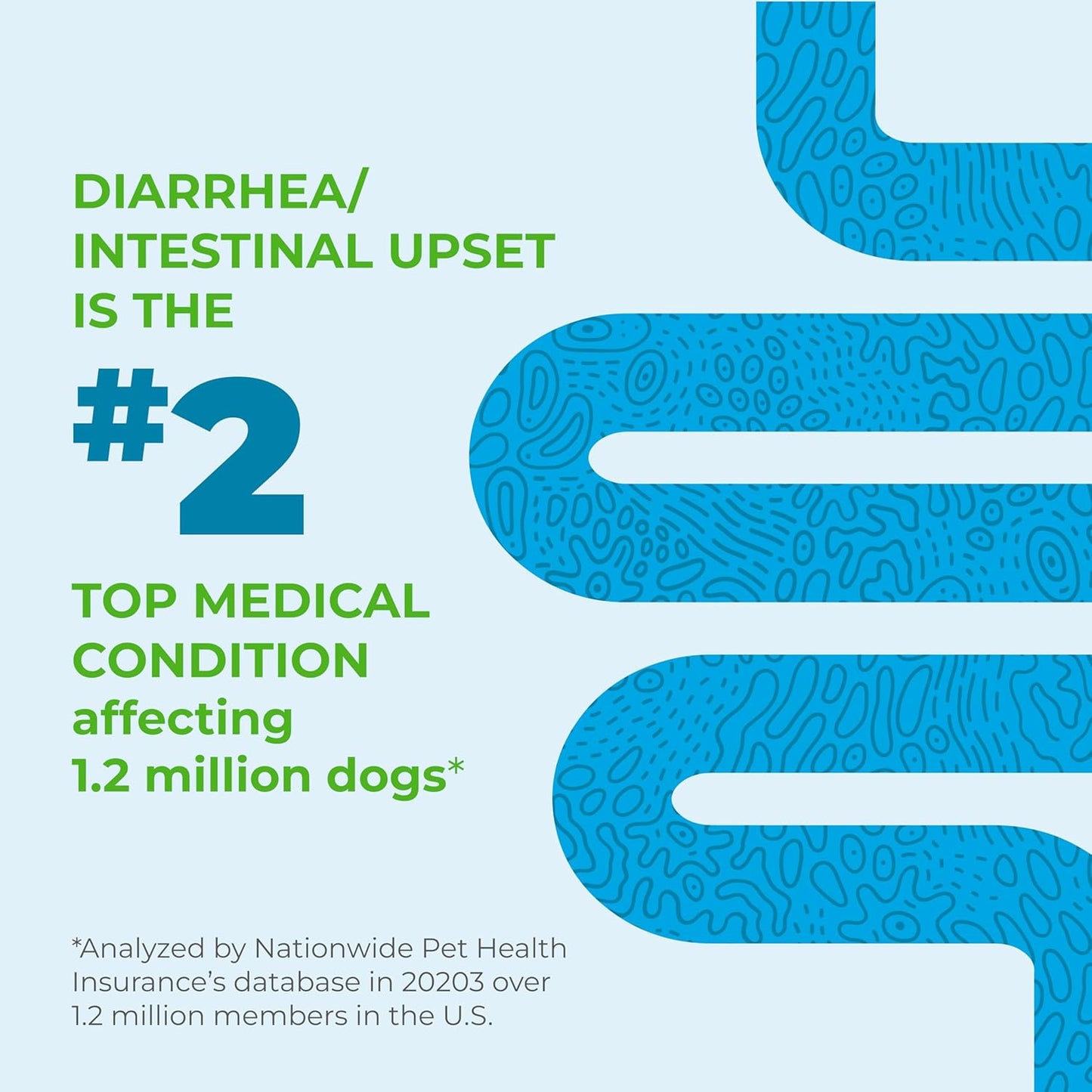 Vetnique Glandex Daily Probiotics for Dogs with Prebiotics to Support Gut Health with Fiber and Digestive Enzymes, Probiotic Chews or Powders (30ct Chews, Bacon Chews)