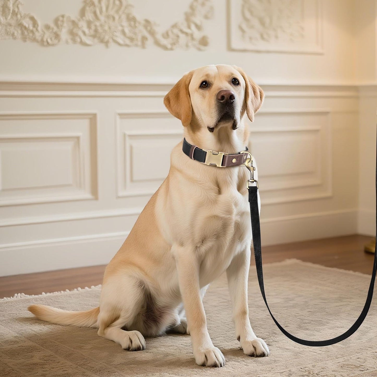 Didog Soft PU Leather Dog Collar for Large Dogs,Classic Adjustable Dog Collars with Quick Release Metal Buckle,Easy Clean and Comfortable with Nylon Lining,Black,L Neck 15-23"