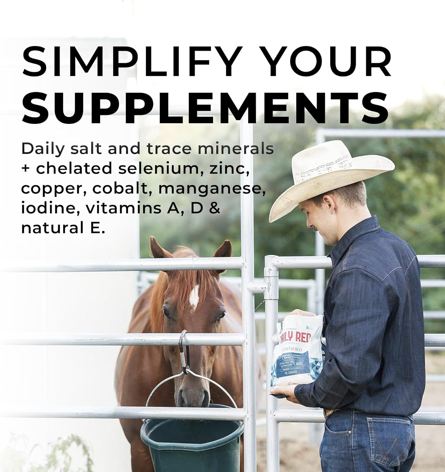Redmond Daily Red | Horse Vitamins and Minerals Supplement