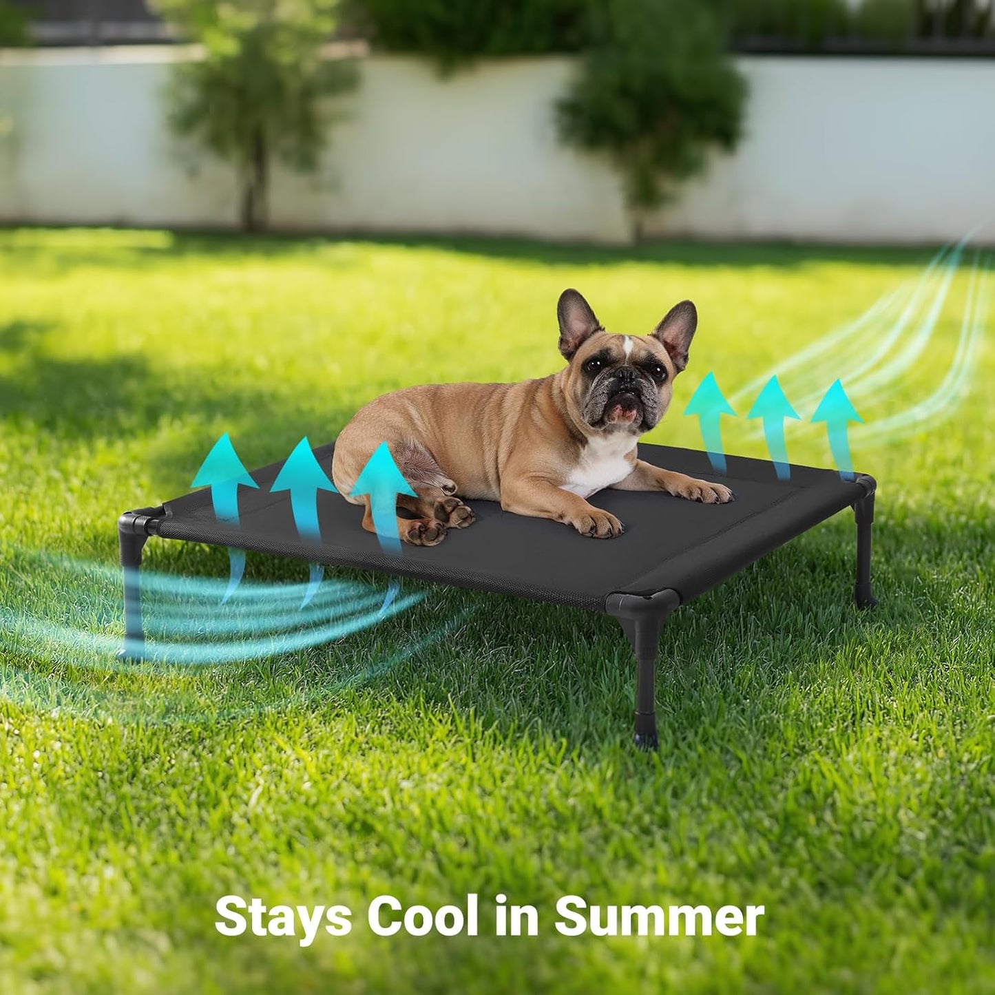 Veehoo Outdoor Elevated Dog Cot Bed, Cooling Raised Pet Bed for Medium Dogs, Washable Breathable Mesh Hammock Bed with No-Slip Feet, Indestructible Ground Off Training Platform Cot-32"x25" Blue