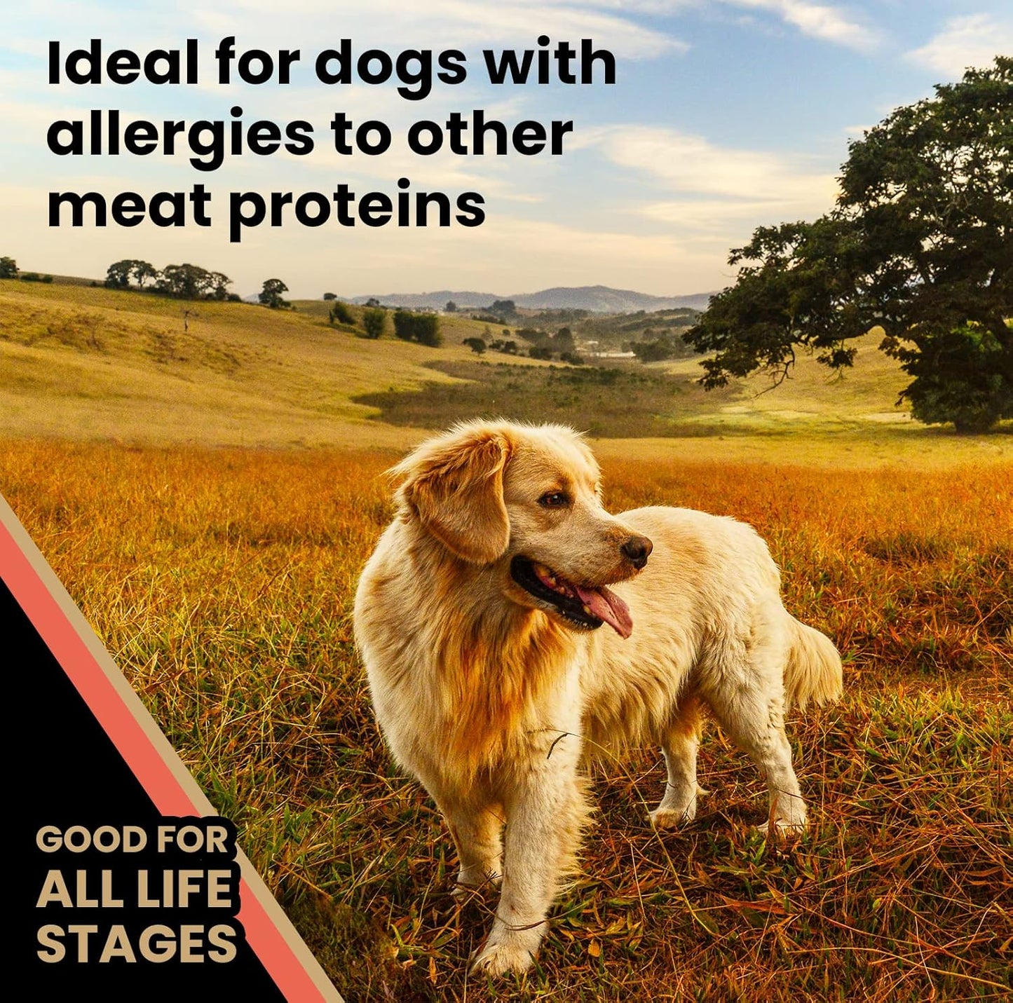 VICTOR Super Premium Dog Food – Grain Free Yukon River Canine – Supports Immune & Digestive Health for Dogs of All Life Stages – High Protein Dry Dog Food for All Normally Active Dogs, 30 lb