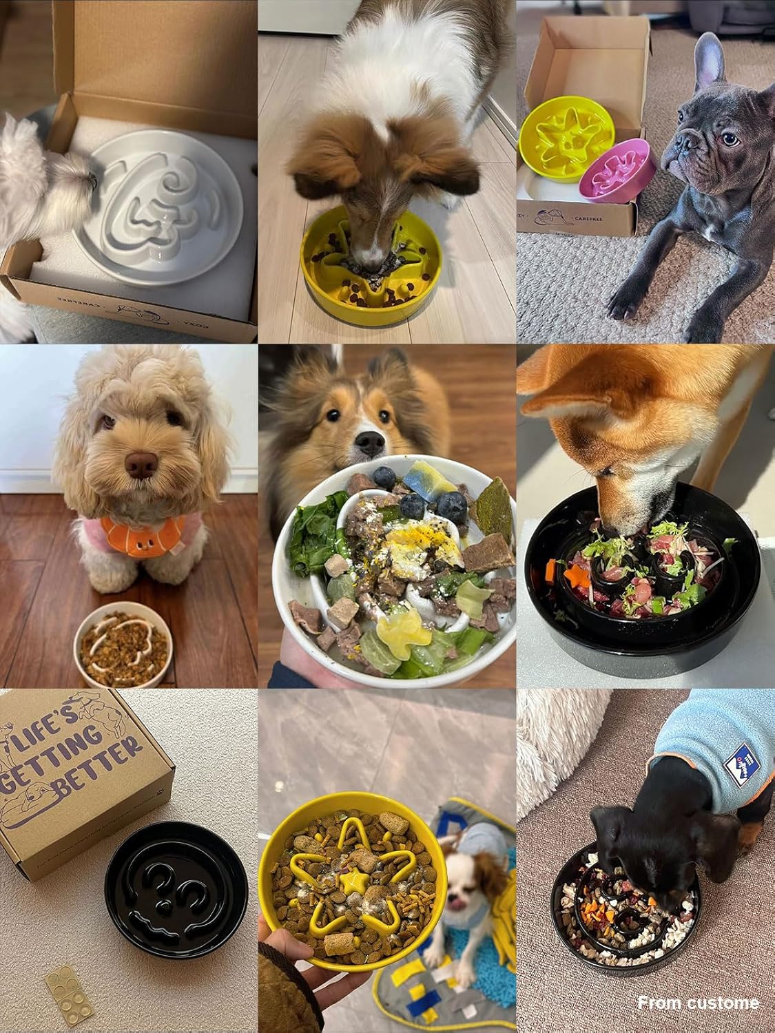 LE TAUCI Dog Bowls Slow Feeder Ceramic, 1.5 Cups Slow Feeding Dog Bowl Small Medium Breed, Puppy Bowl for Fast Eaters,Angel White