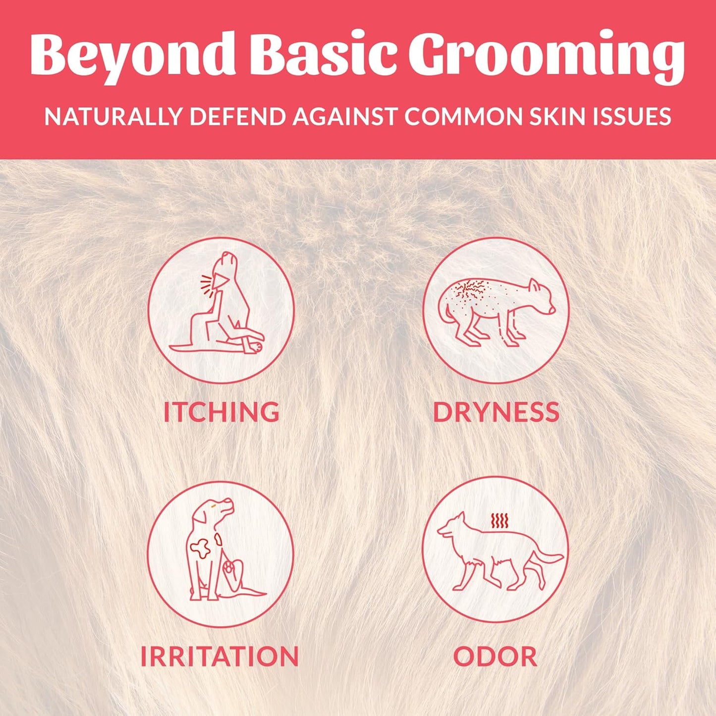 SKOUT'S HONOR Probiotic Pet Deodorizer Spray- Hydrating Daily-Use with Avocado Oil & Omega-3s, Microbiome Friendly Certiified, Paraben & Sulfate-Free, 97% Natural, 8oz, Sunkissed Coconut