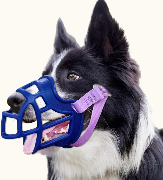 Basket Muzzle Allows Panting Drinking, Anti Biting Chewing, Suitable for Grooming Trimming Training, for Small Medium Large Dogs (Blue, Size 4)