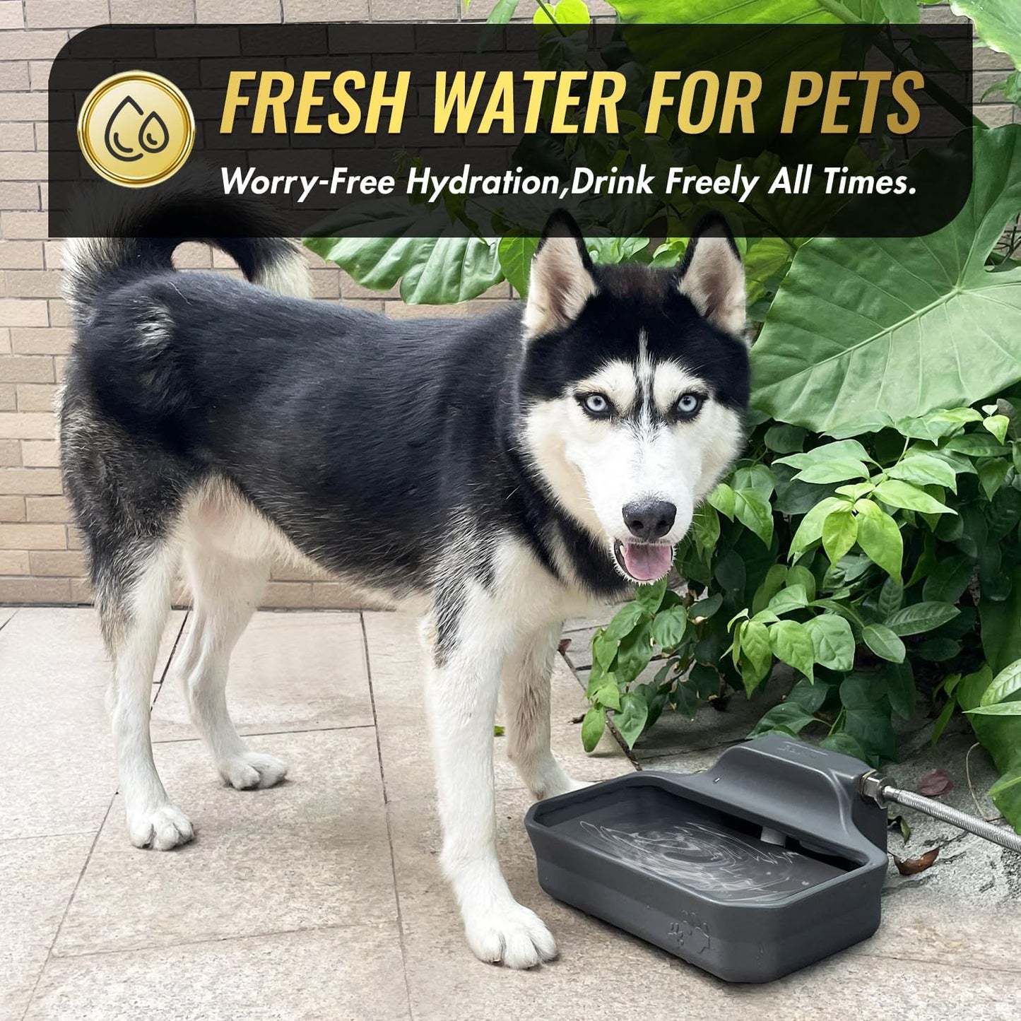 135OZ Automatic Water Dispenser for Large Dogs Patented Outdoor Dog Water Bowl Dispenser Automatic Dog Feeder Fit 3/4'' GHT Faucet Dog Waterer Include Water Hose Extra-Large Drinking Area