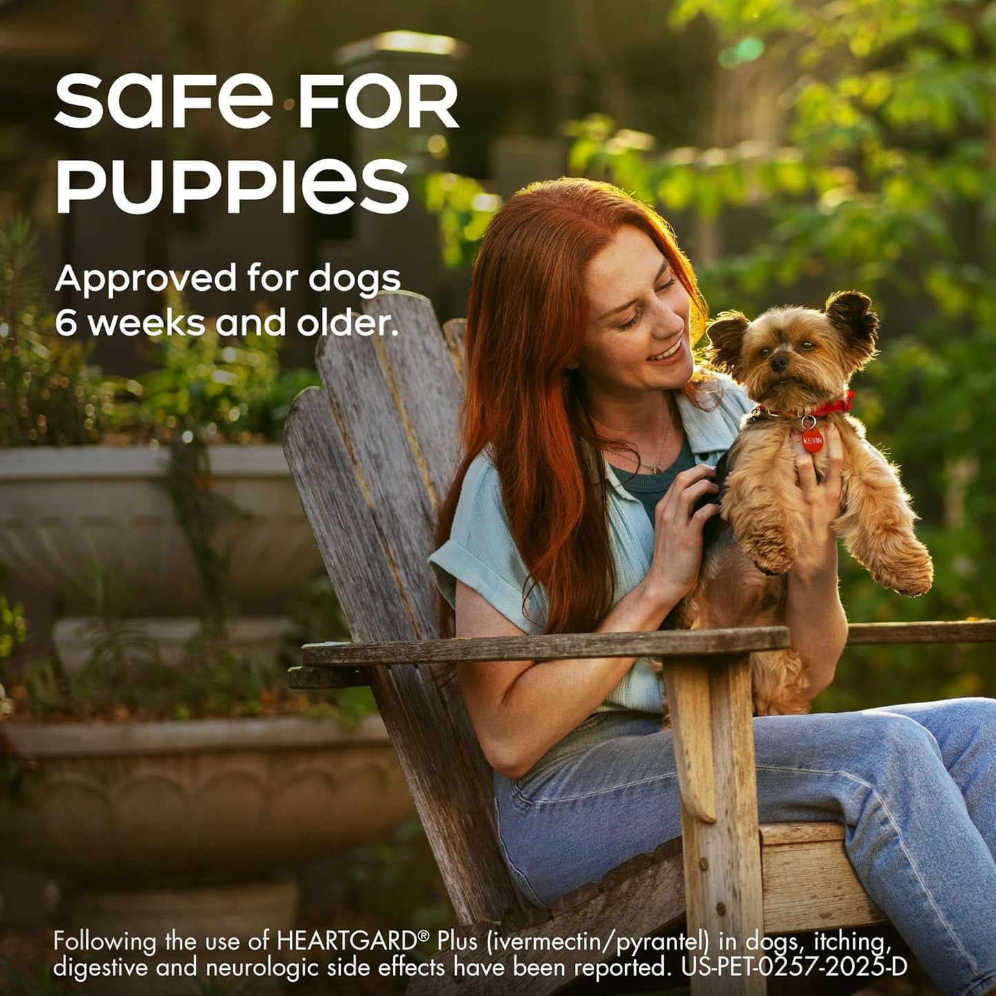 HEARTGARD® Plus (ivermectin/pyrantel) Real-Beef Chewables for Dogs up to 25 lbs (Blue Box) 6 Month Supply of Chews (Heartworm Disease Preventive)