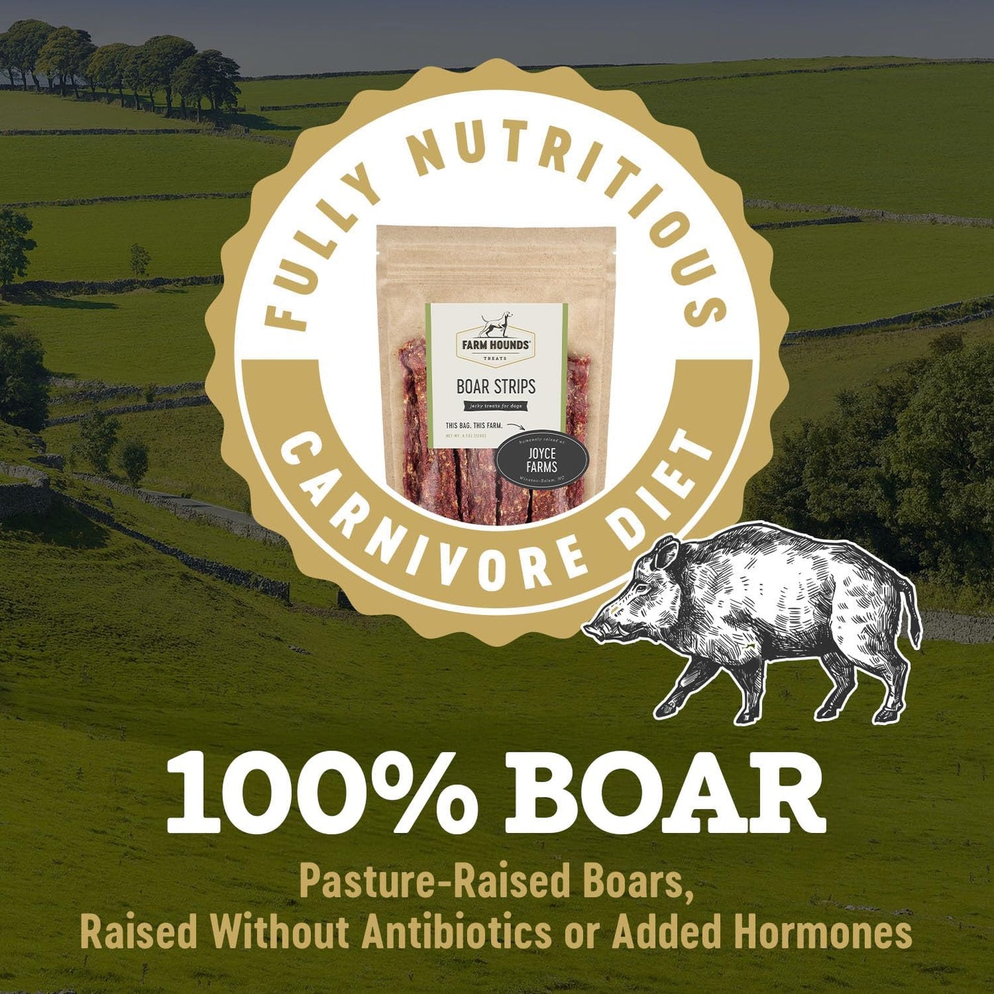 Farm Hounds - Boar Strips - Premium Natural Jerky for Dogs - from 100% Humanely Raised Boar - Break-to-Size - Great for Training & Treats - No Added Fillers - Made in USA - 4.5 oz - 2 Pack