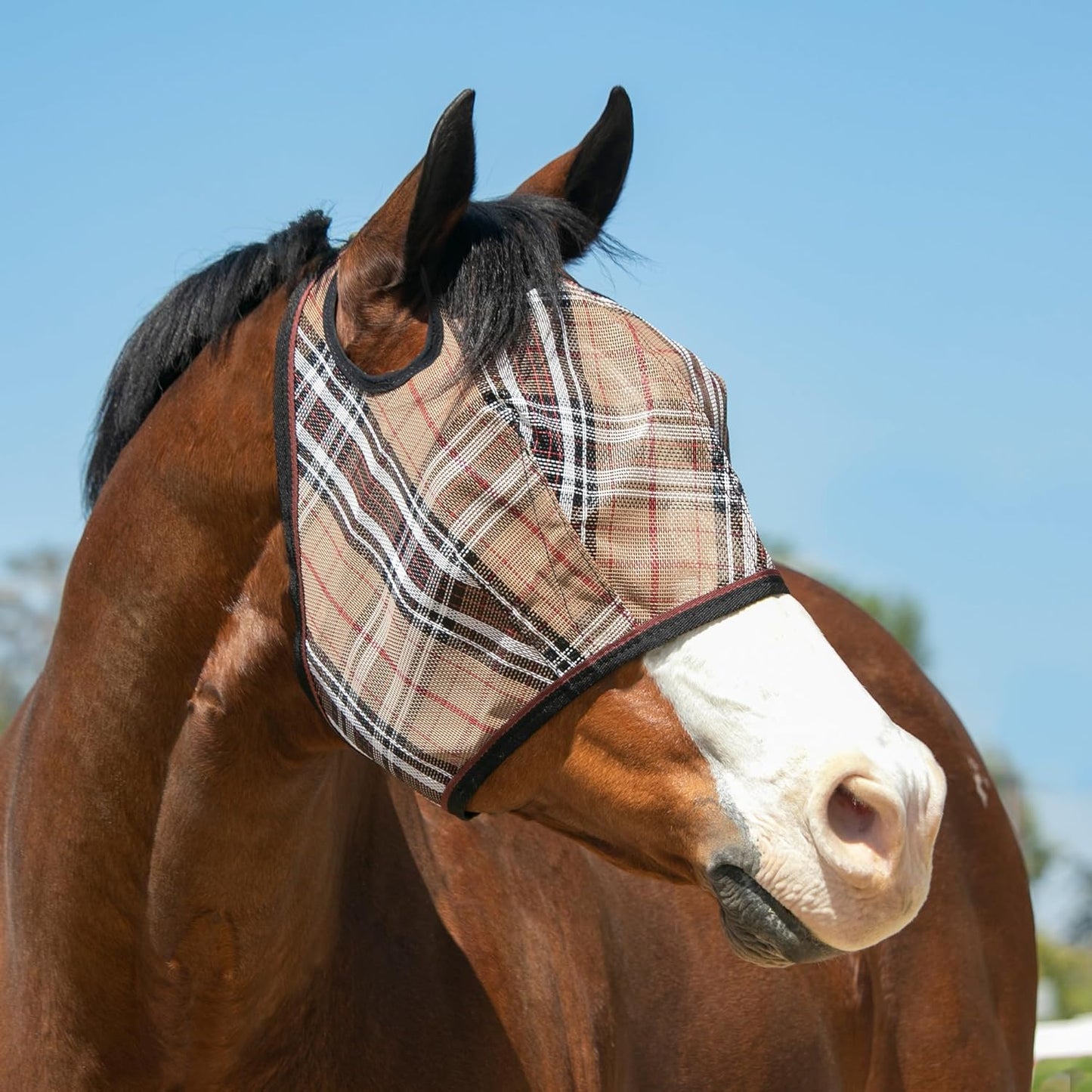 Kensington UV Horse Fly Mask with Web Trim - Protective Mask with Dual Ear Opening & Forelock Freedom - Small, Deluxe Black