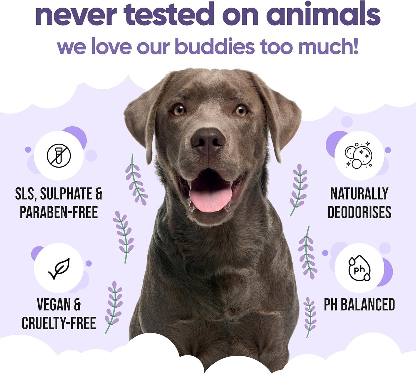 Calming & Deodorising Dog Shampoo by Buddycare | Lavender Scented | Itchy Skin Relief for Smelly Dogs | Deep Cleansing Shampoo for Dogs Puppy Sensitive Skin | with Aloe & Vitamin B5 (16.90oz)