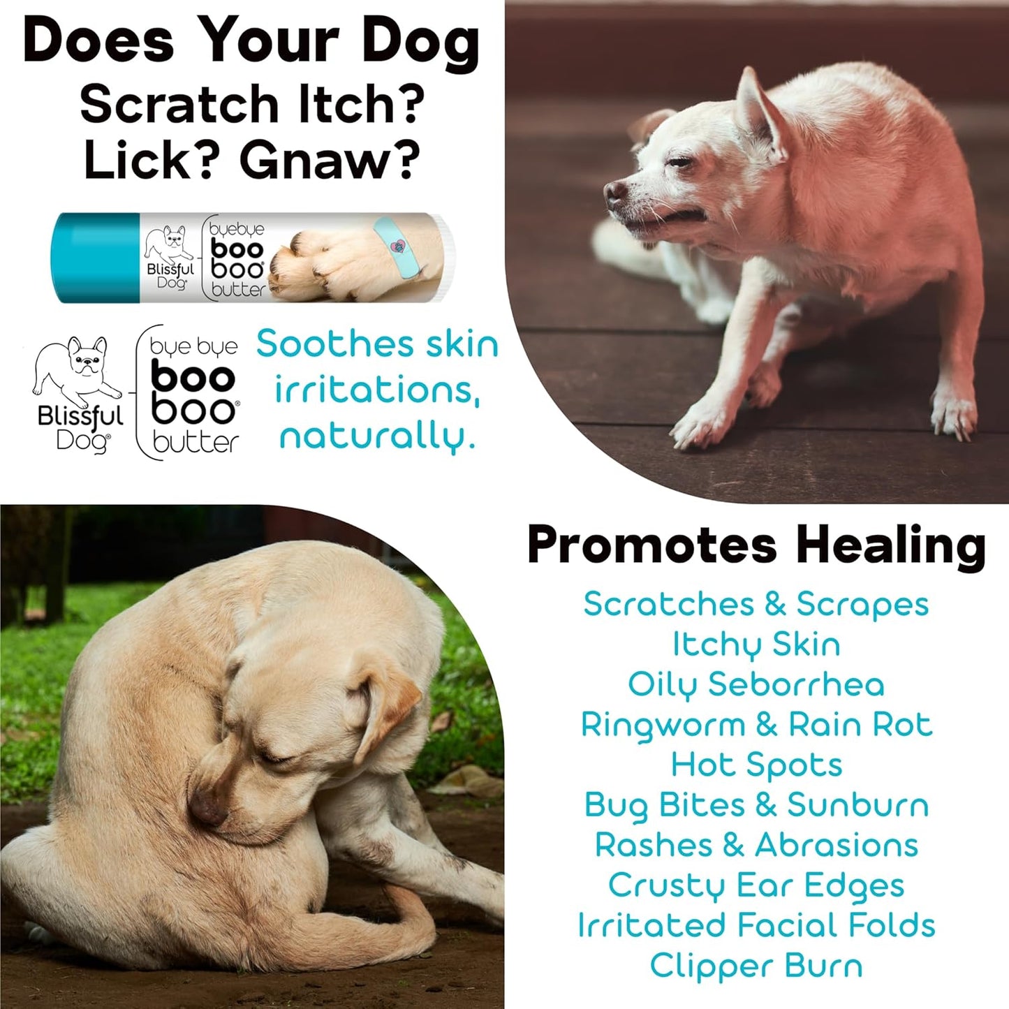 The Blissful Dog .15 oz Tube Chihuahua Booboo Butter