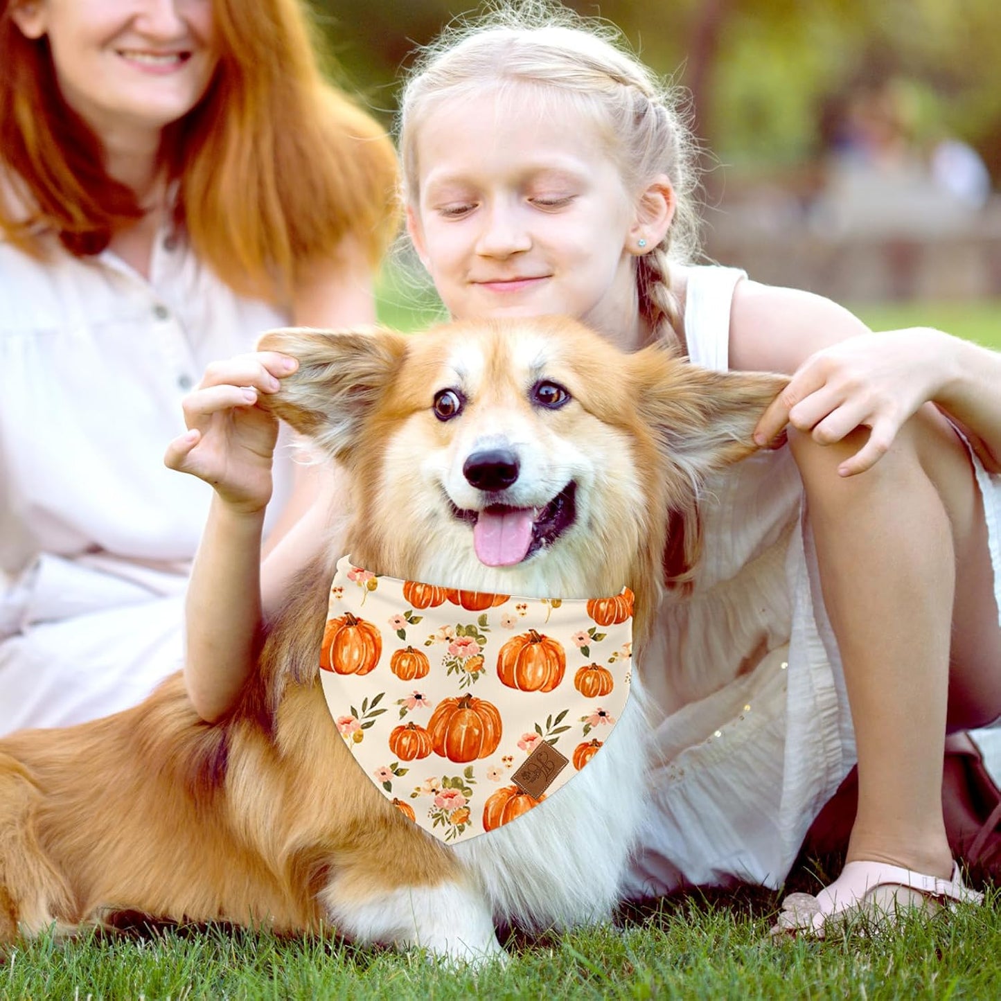 Fall Dog Bandana Pumpkin Floral Pet Scarf Double-Sided Adjustable Triangle Pet Neckerchief Dog Bib for Autumn Harvest Thanksgiving Dog Cat Birthday Costume Accessories
