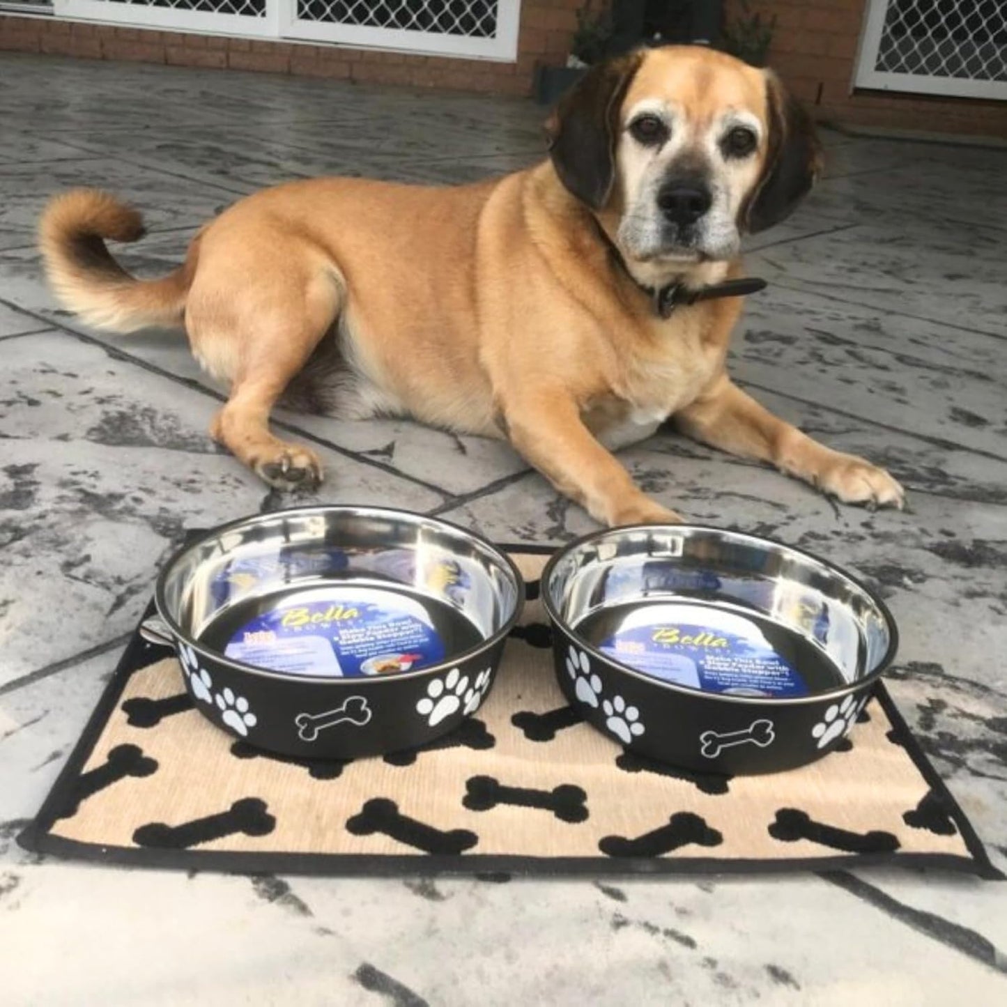 Loving Pets Bella Dog Bowls- Stainless Steel Dog & Cat Bowls - Spill Proof Dog Food Bowl, Cat Bowl, Puppy Essentials & Pet Supplies Great for Home & Travel (Large 35-65 lbs, Espresso)