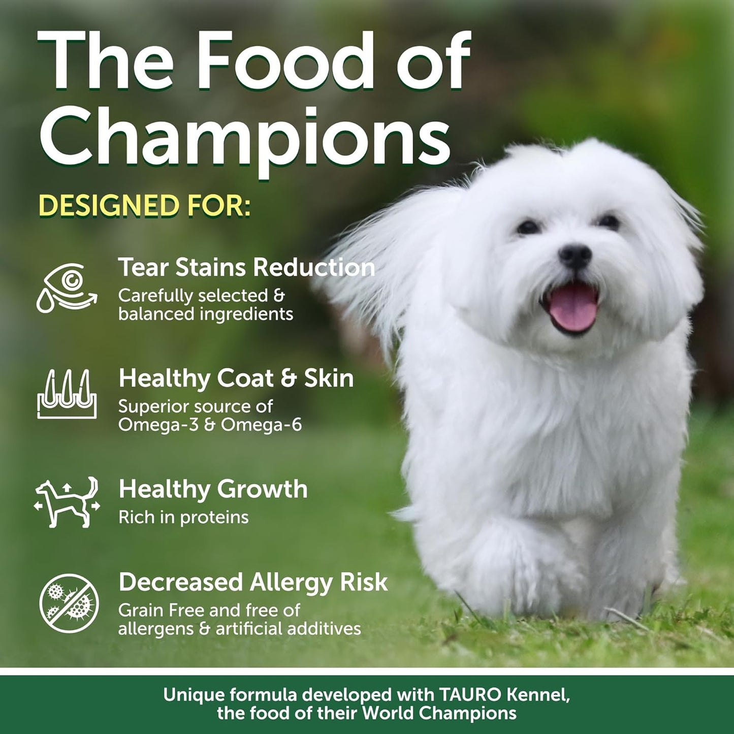 Nature's Protection Superior Care White Dogs Grain-Free Dry Dog Food - High Protein, Tear Stain Dog Food for Small & Mini Breeds Light Coated Adult Dogs, Fresh Pet Meal, Salmon, 3.3 lb