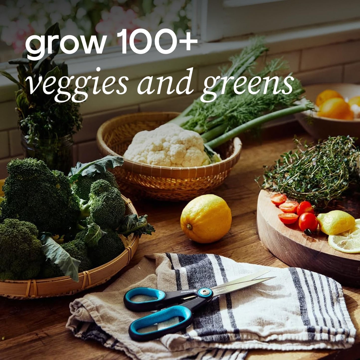 Farmstand Starter Kit with Glow Rings and 24 Seedling Credits | Medium Hydroponic Growing System Kit | Vertical Garden Planter Tower | 4ft 10in Tall