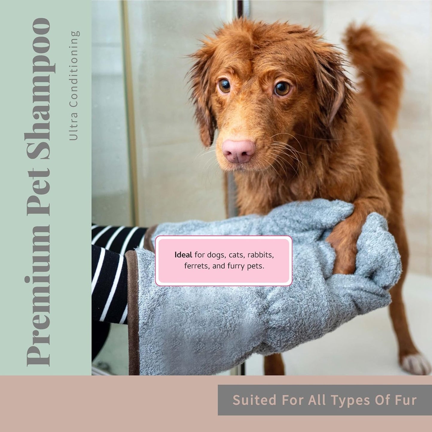 Begley’s No Rinse Waterless Pet Shampoo, Bathless Cleaning, Deodorizing, and Odor Removal for a Shiny, Fresh Smelling Coat - Effective for Dogs, Puppies, and Cats - Fresh Lavender Scent