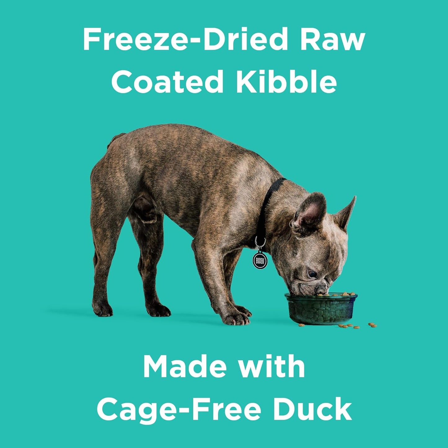 BIXBI Rawbble Dry Dog Food, Duck, 4 lbs - USA Made with Fresh Meat - No Meat Meal & No Corn, Soy or Wheat - Freeze Dried Raw Coated Dog Food - Minimally Processed for Superior Digestibility