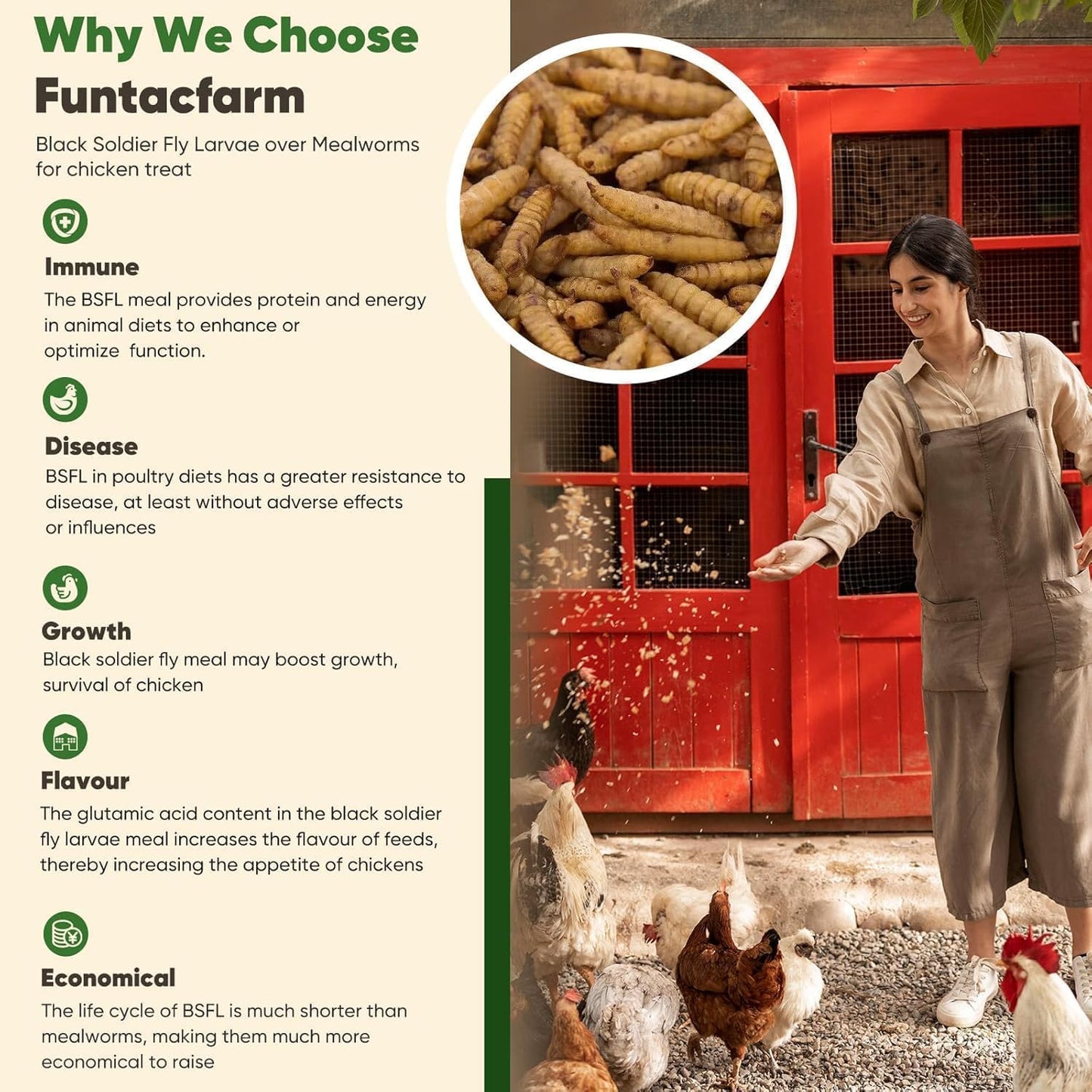 15LB Dried Black Soldier Fly Larvae for Chickens, High Protein Chicken Feed Superior to Meal Worms for Wild Birds & Chicken Treats for Laying Hens