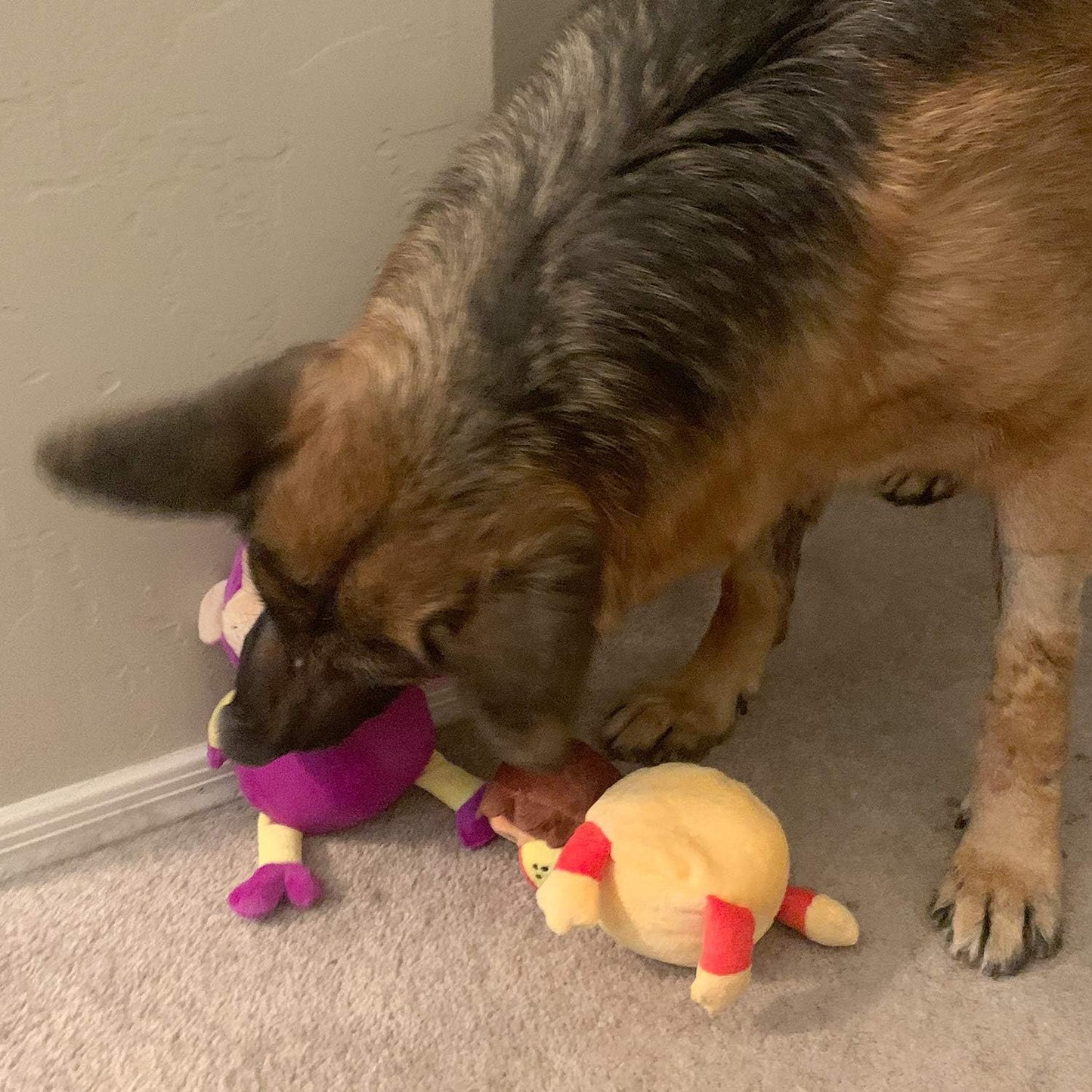 Jalousie Dog Squeaky Toys Value Set Non-Toxic Squeaky Balls Toss Fetch TPR Rubber Puppy Toys Spikey Dog Chew Toy for Small Medium Breed Pet Toys for Puppy (3 Pack 2-in-1 Plush)