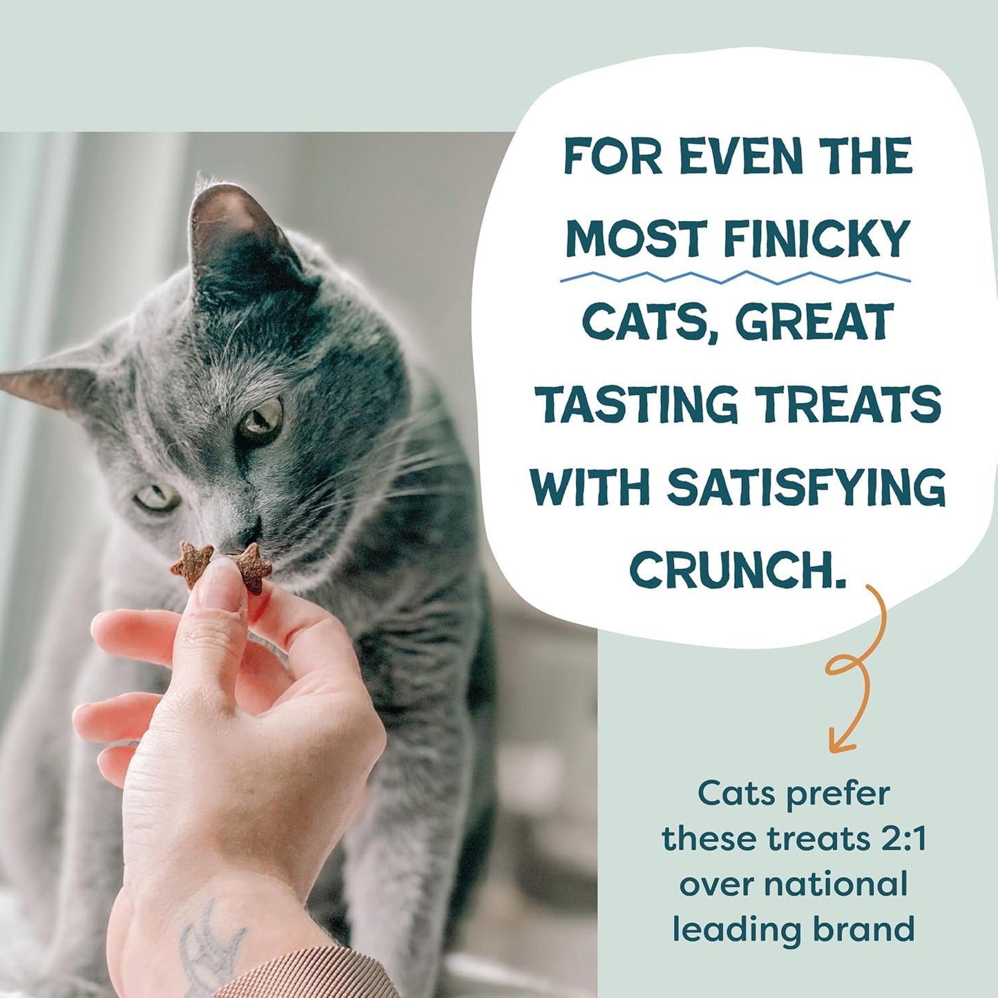Shameless Pets Crunchy Cat Treats - Catnip Treats for Cats with Digestive Support, Kitten Treats with Real Ingredients, Natural & Healthy Flavored Feline Snacks - Catnip N Chill Chicken Liver, 12 oz