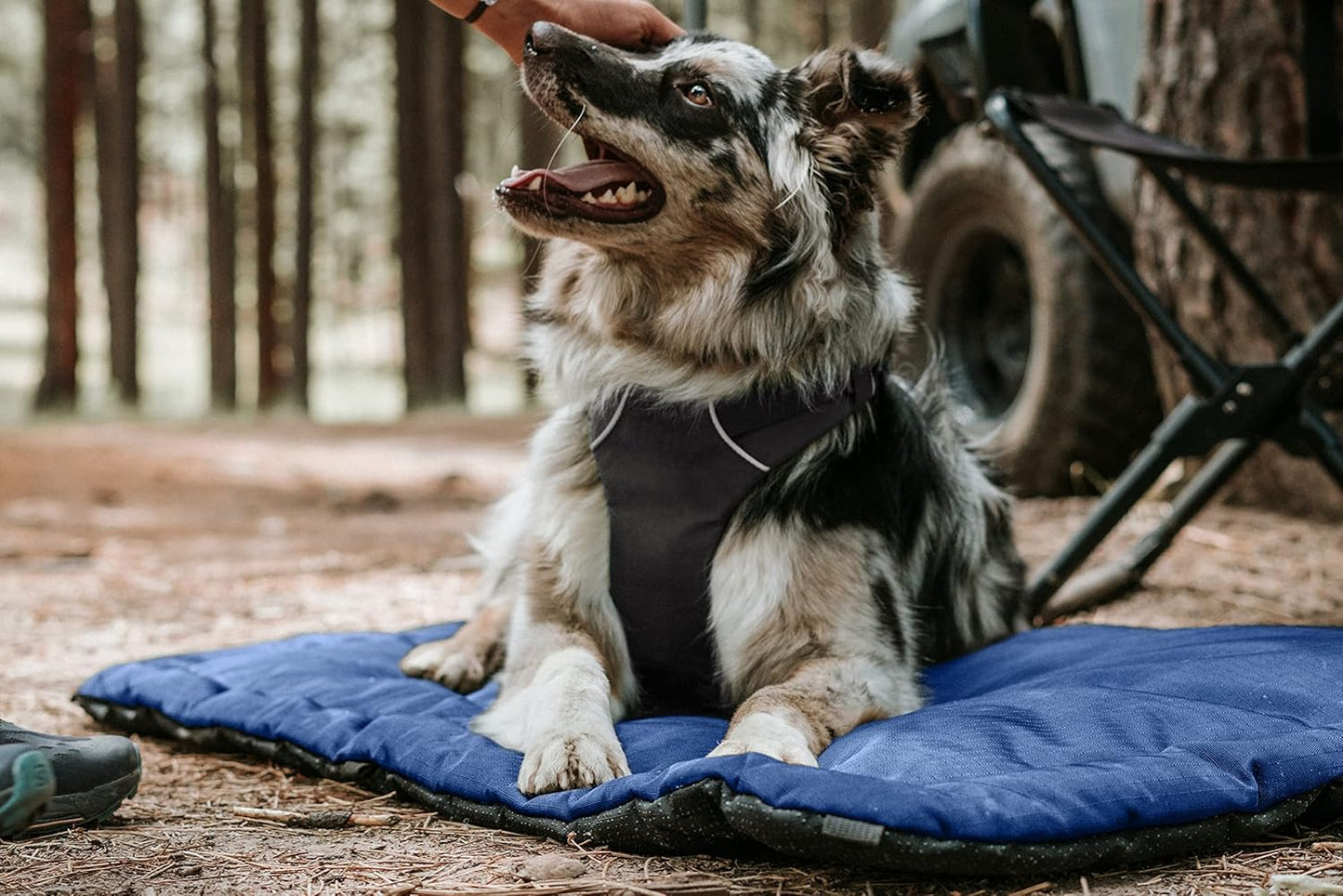 K9 Ballistics Tough Ripstop Dog Crate Pad - Durable & Machine Washable with Non-Skid Bottom and 120-Day Warranty, Fits 24" Wire Crates - X-Small, Blue Quartz
