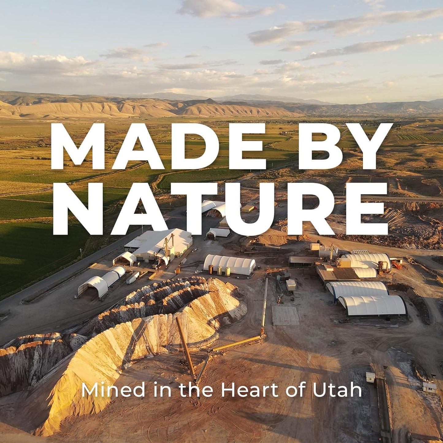 REDMOND Daily RED Crushed - Mineral Supplement for Horses (Garlic (5 LB))